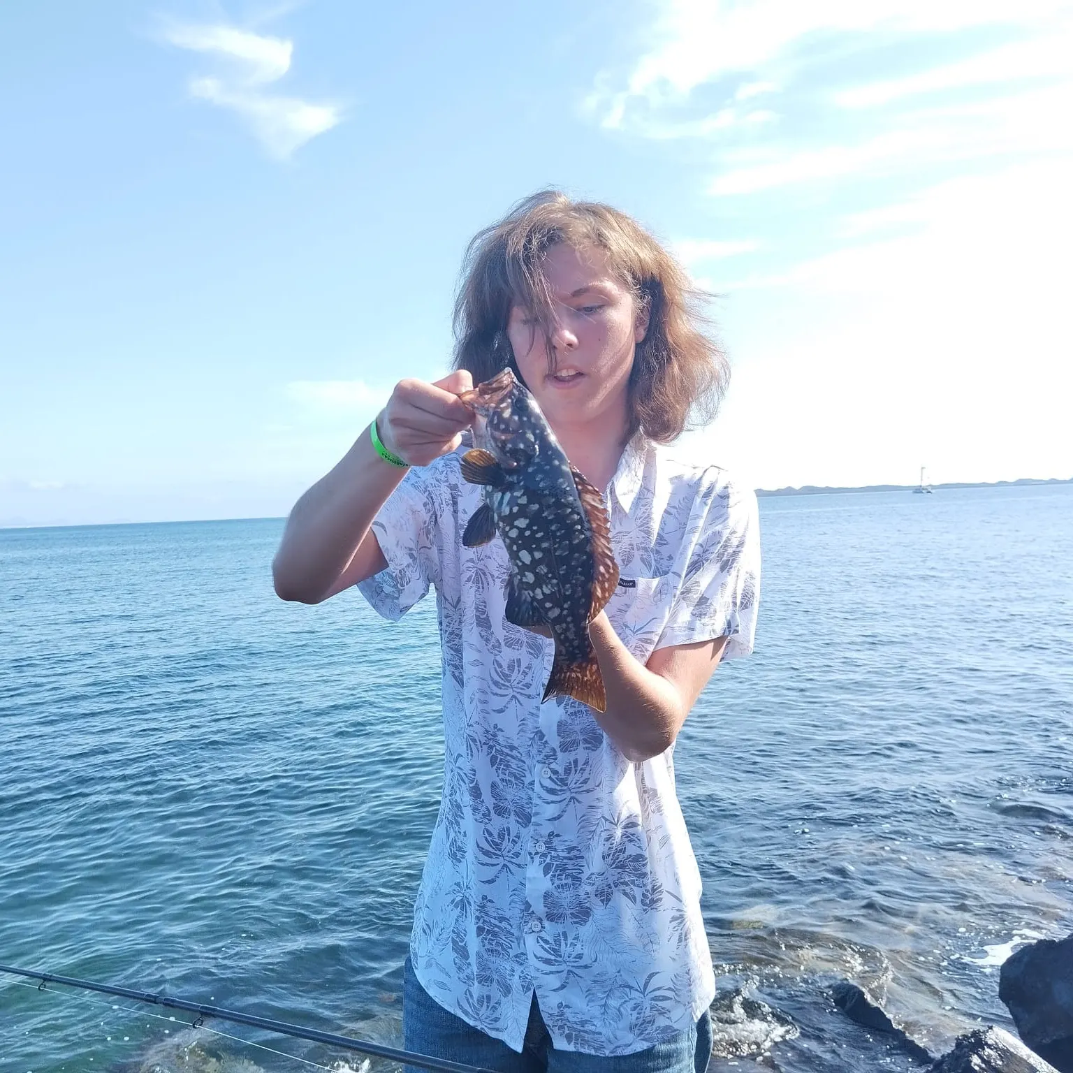 The most recent Whitespotted grouper catches on Fishbrain