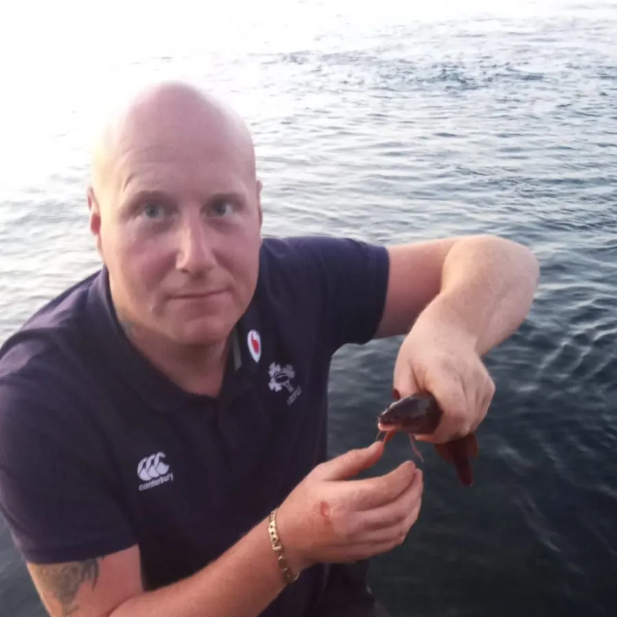 The most recent Three-bearded rockling catches on Fishbrain