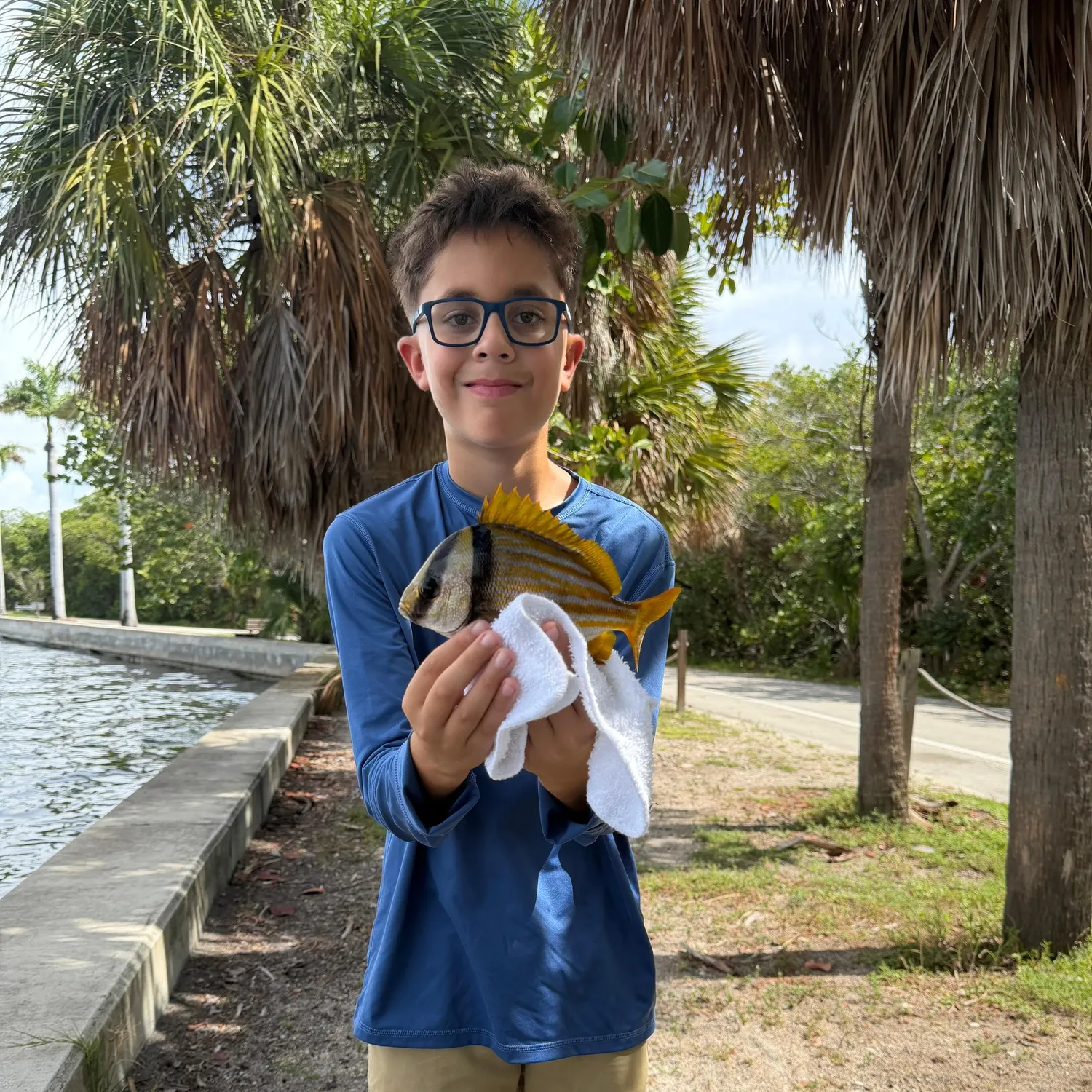 The most recent Atlantic porkfish catches on Fishbrain