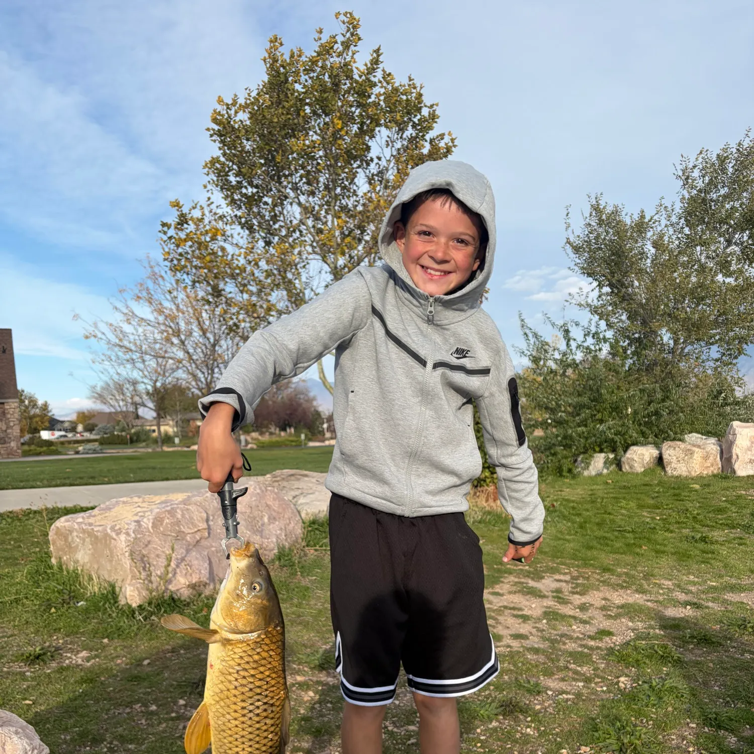 Common carp caught on Fishbrain