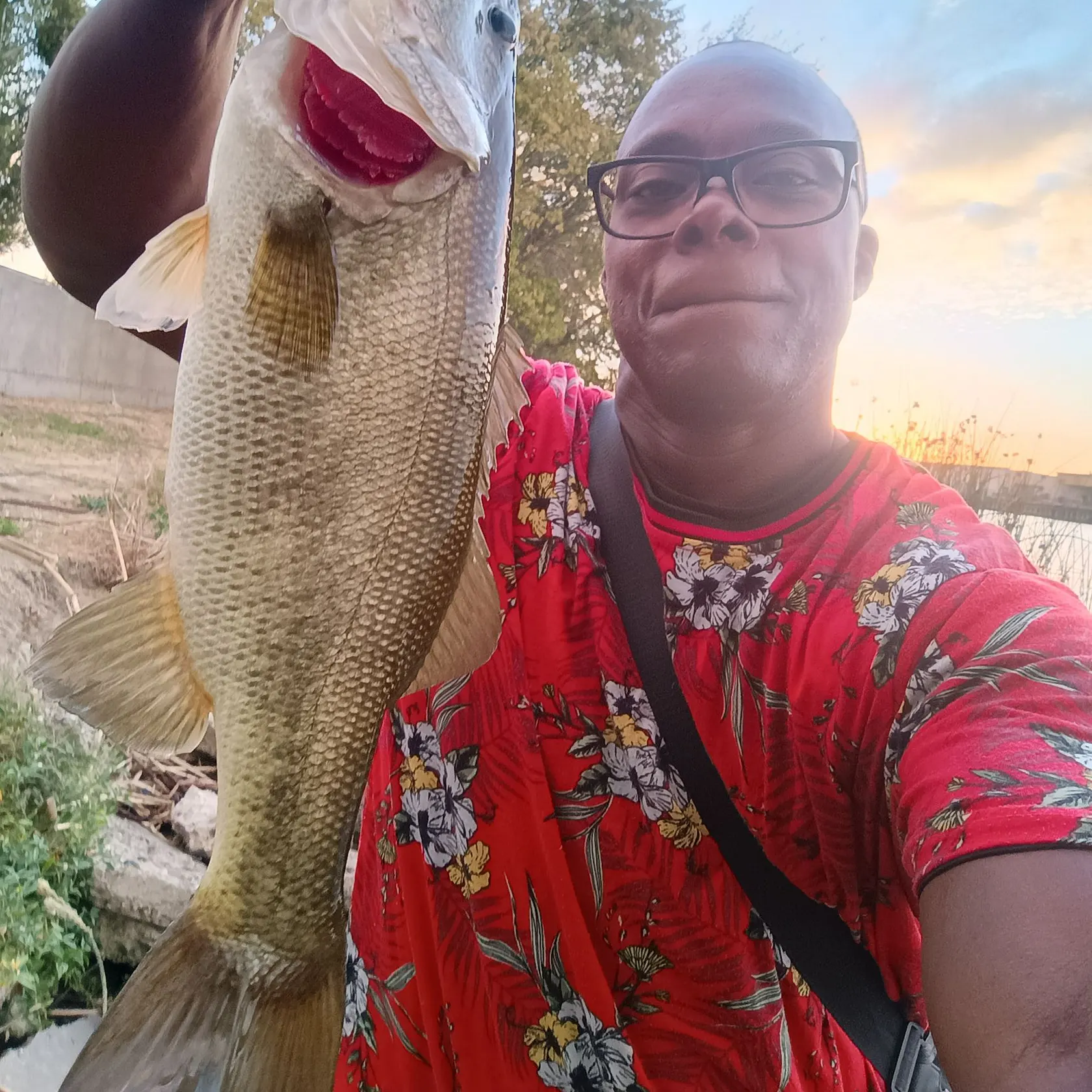 Largemouth bass caught on Fishbrain