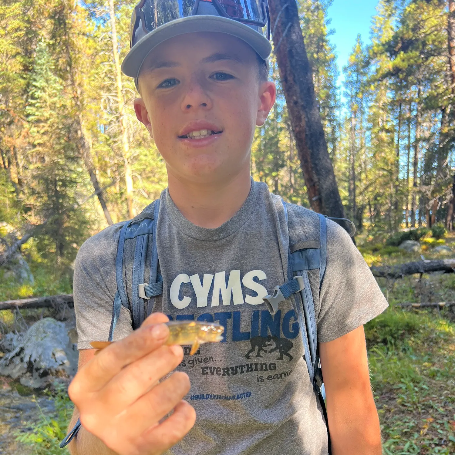 Brook trout caught on Fishbrain