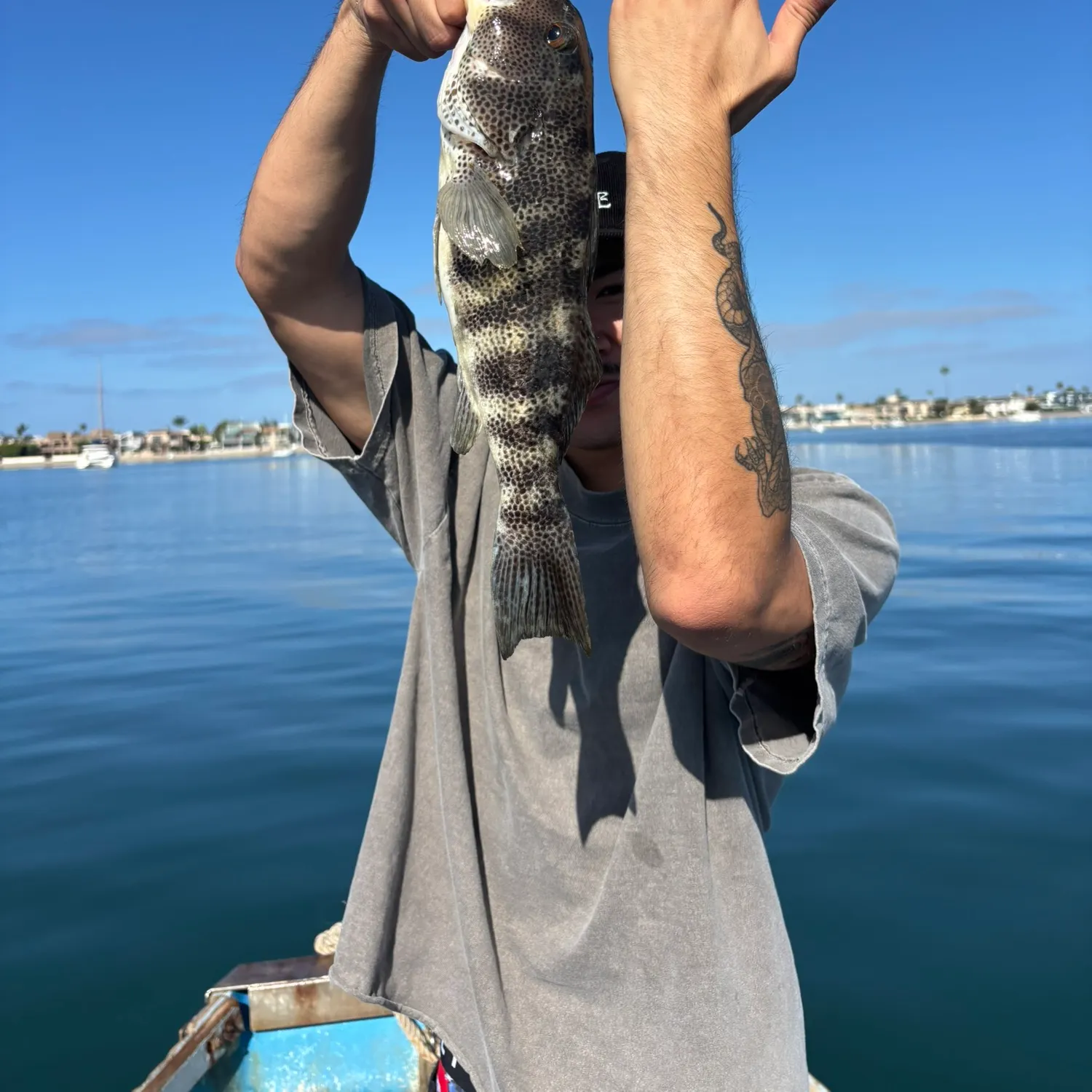 catch