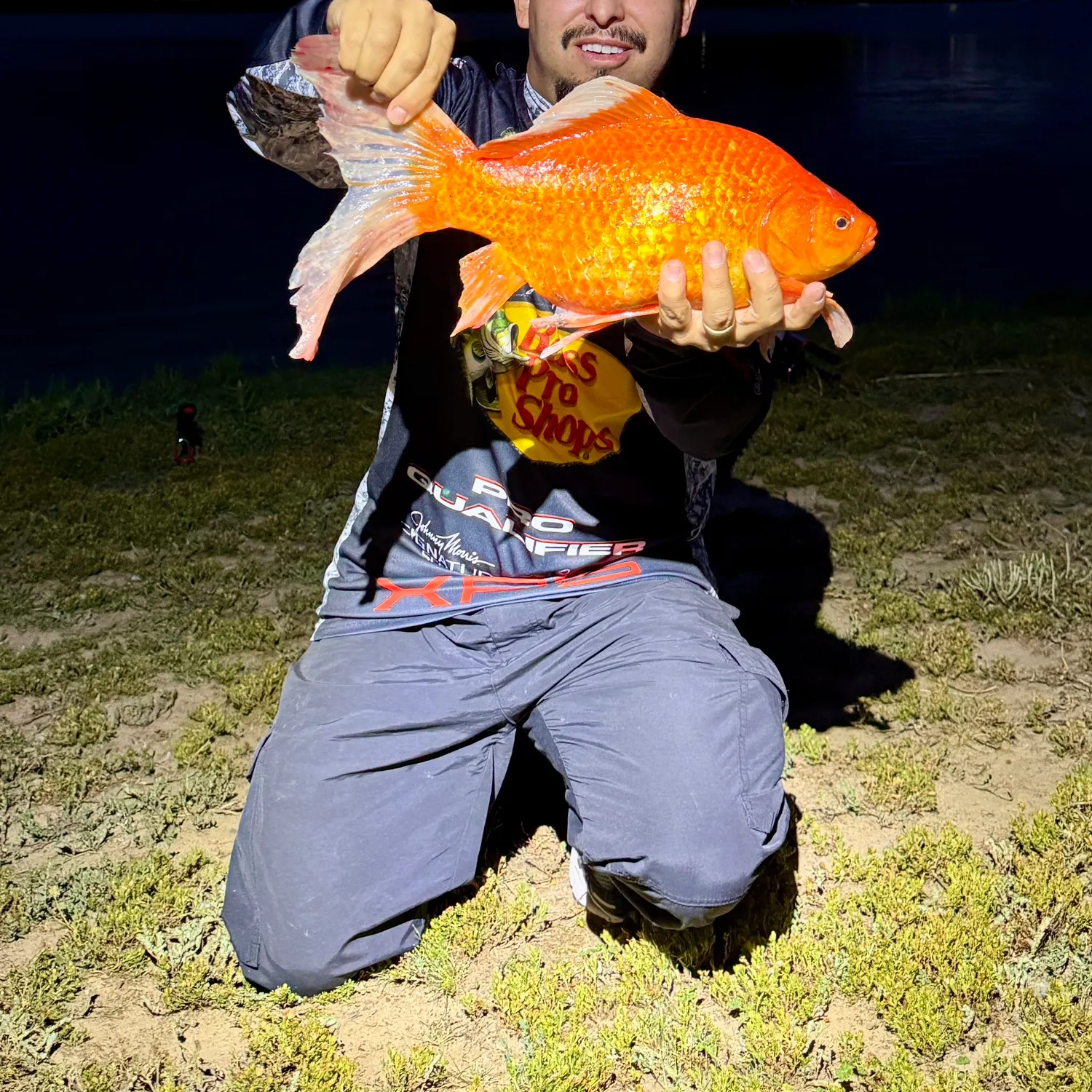 The most recent Goldfish catches on Fishbrain
