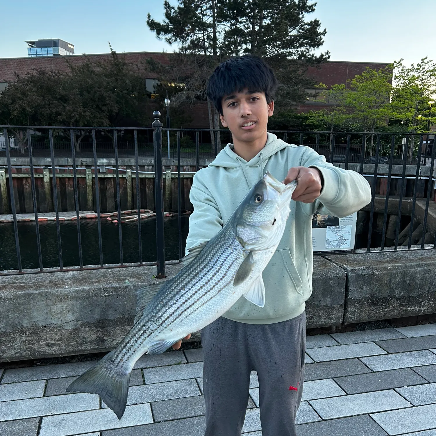 catch