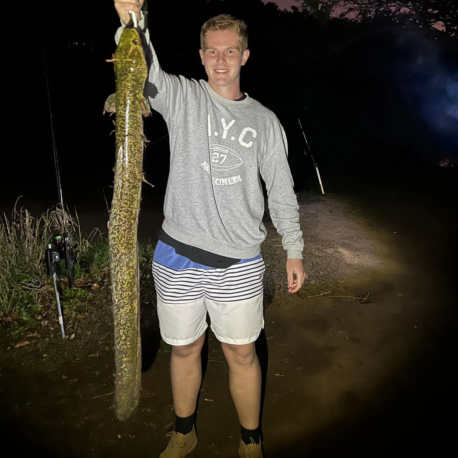 The most recent Speckled longfin eel catches on Fishbrain