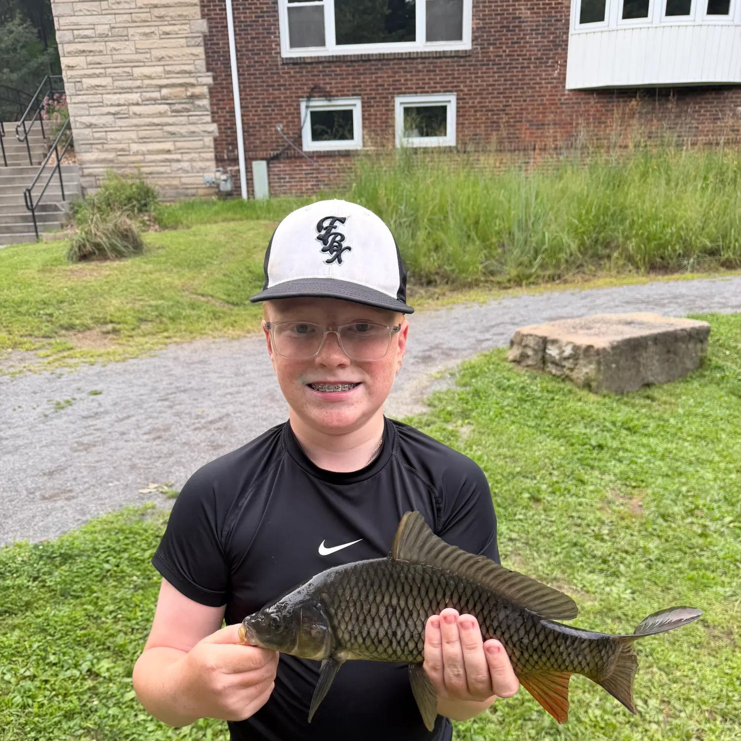 Common carp caught on Fishbrain