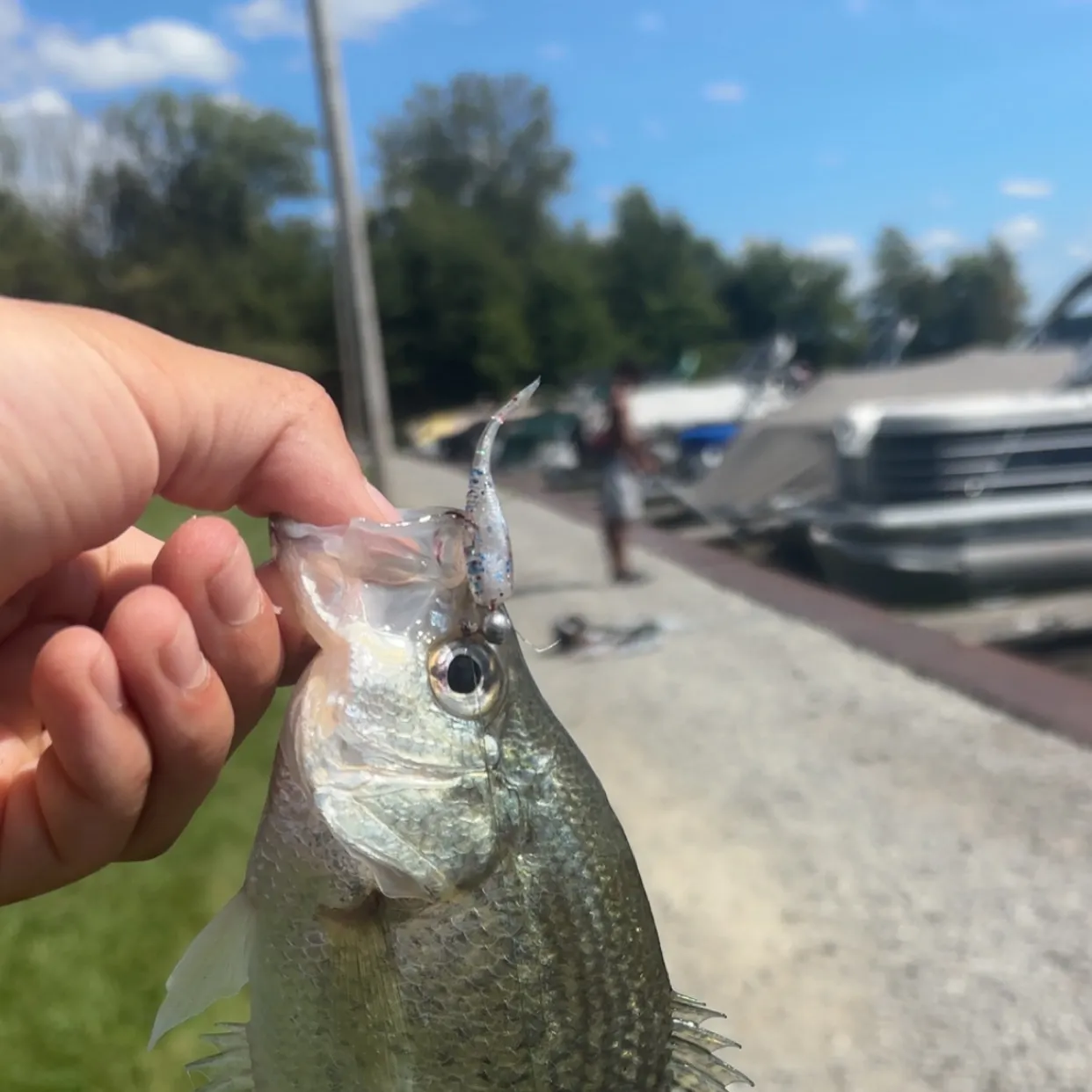 catch