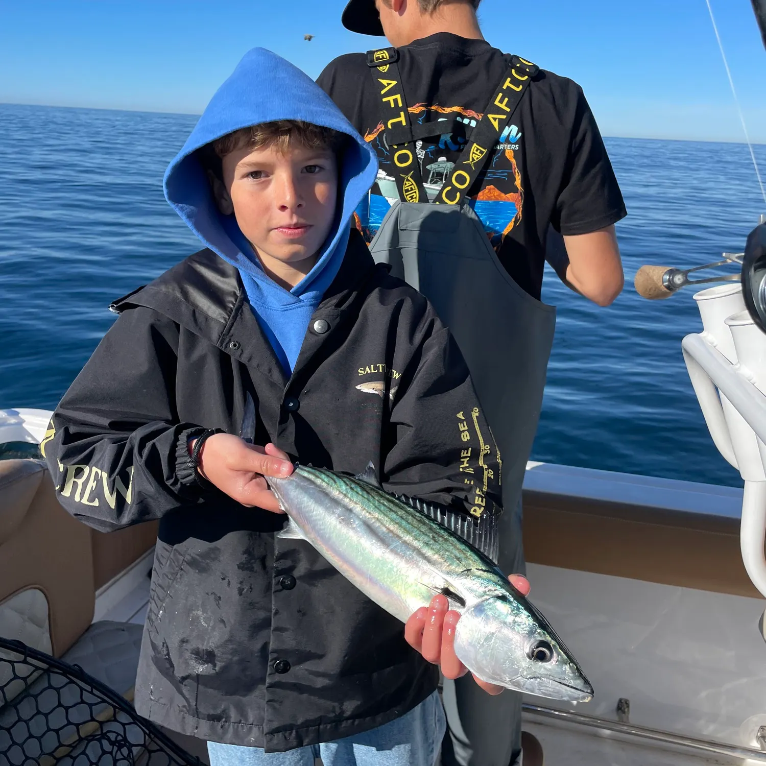 The most recent Eastern Pacific bonito catches on Fishbrain