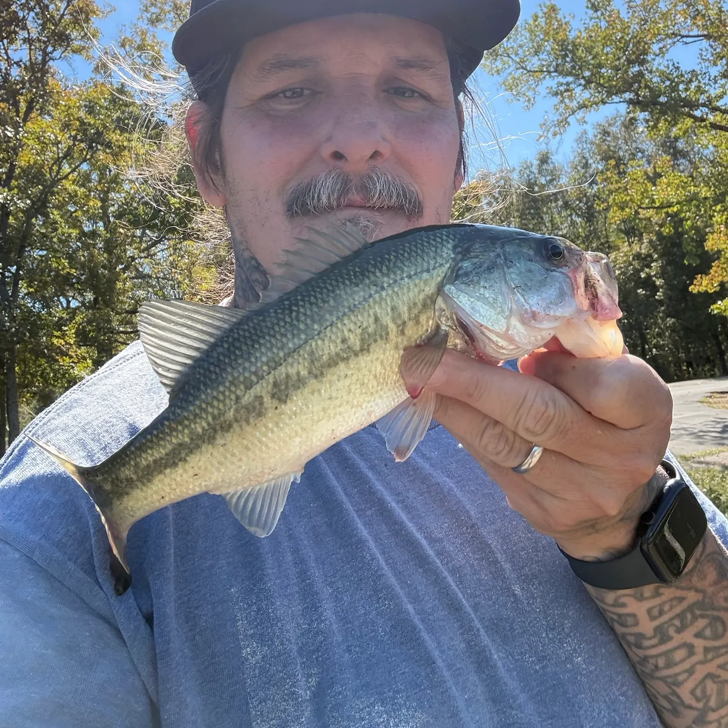 Largemouth bass caught on Fishbrain