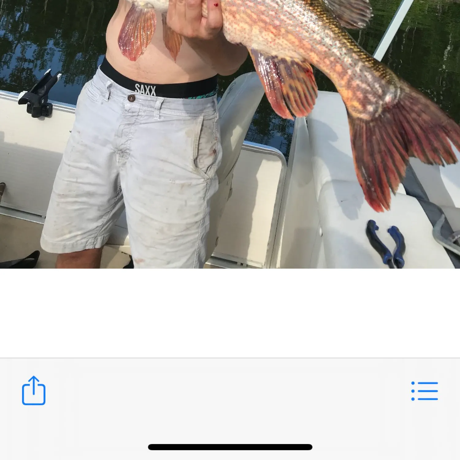 recently logged catches