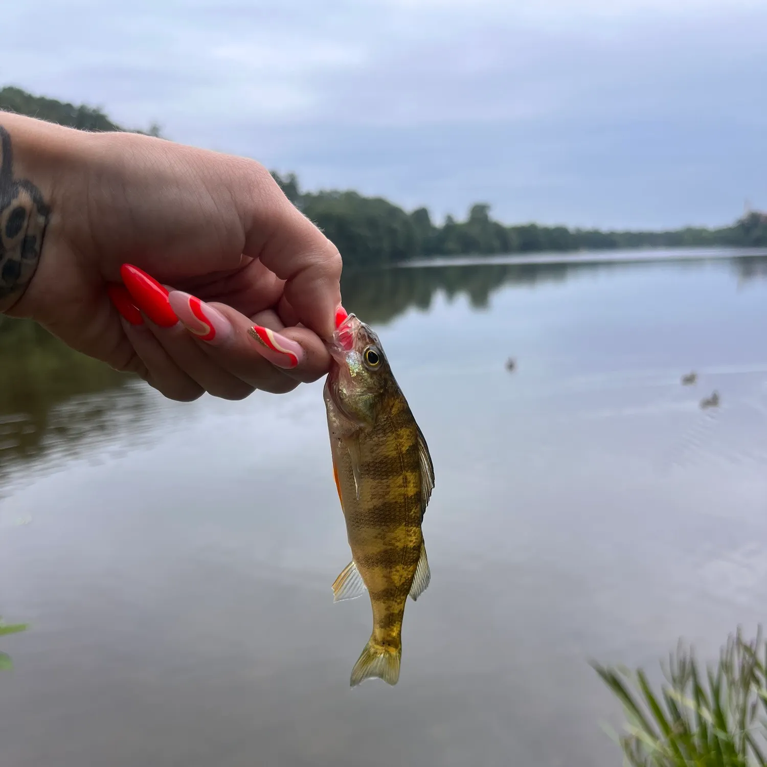 catch