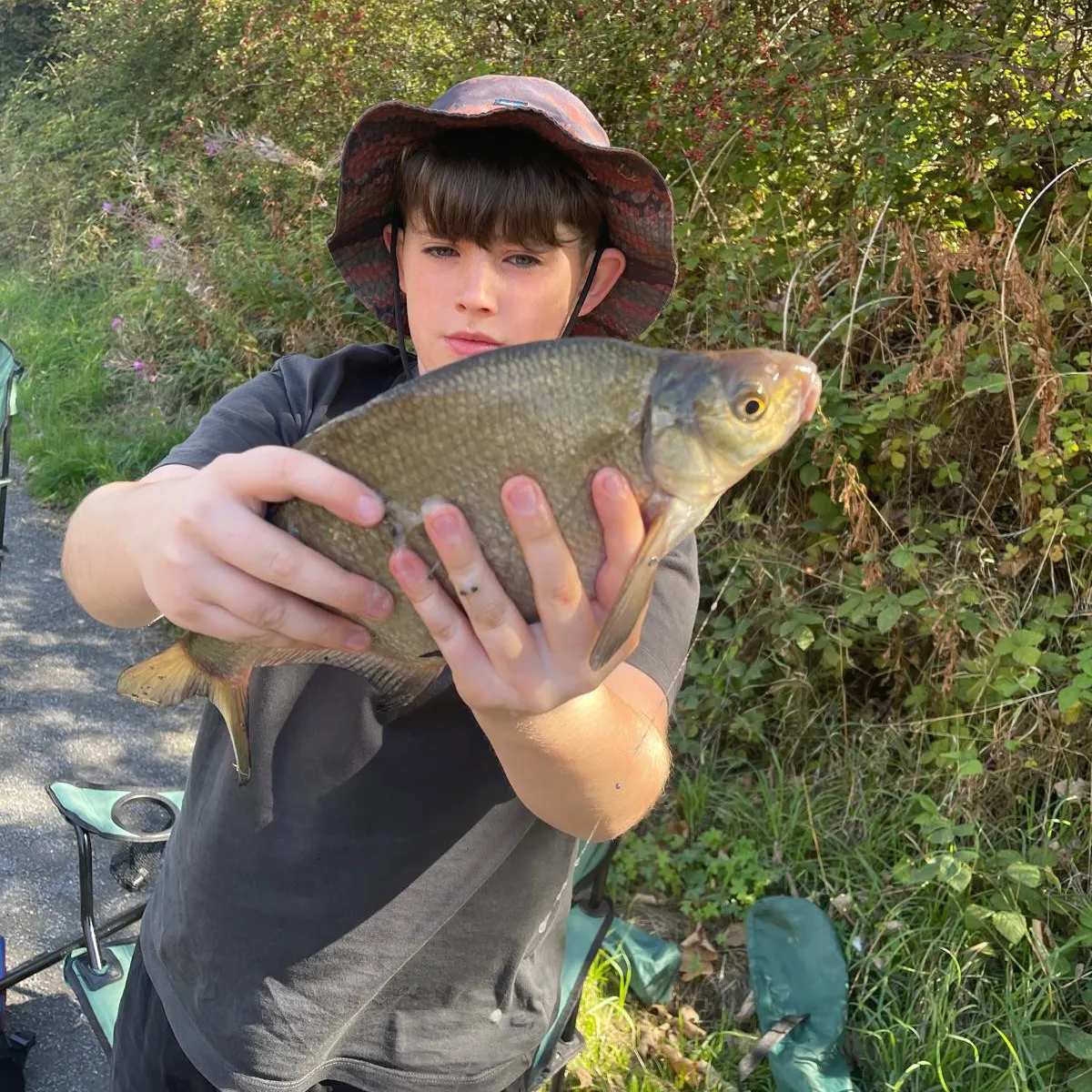 Common bream caught on Fishbrain