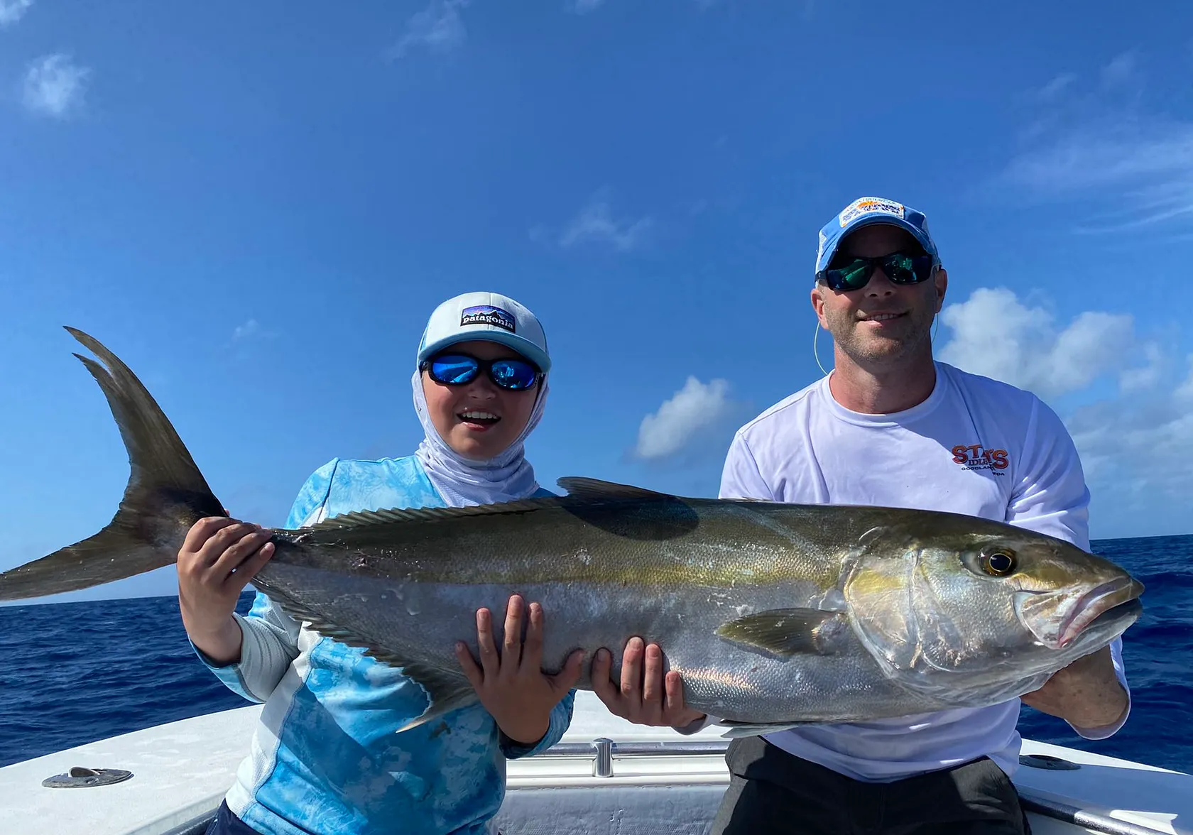 Southern yellowtail amberjack