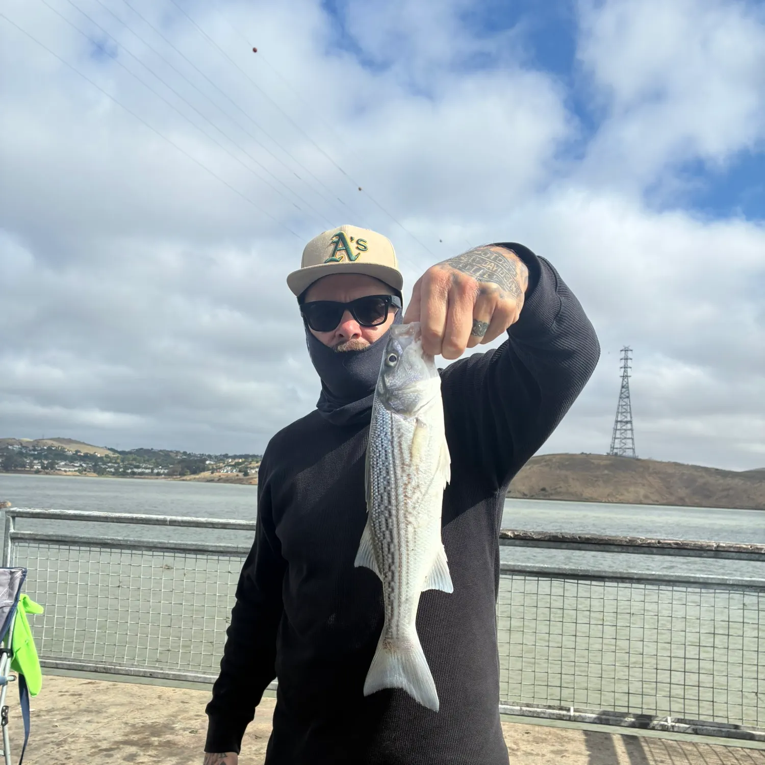 Striped bass caught on Fishbrain