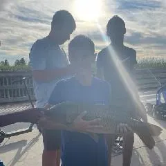 Common carp caught on Fishbrain