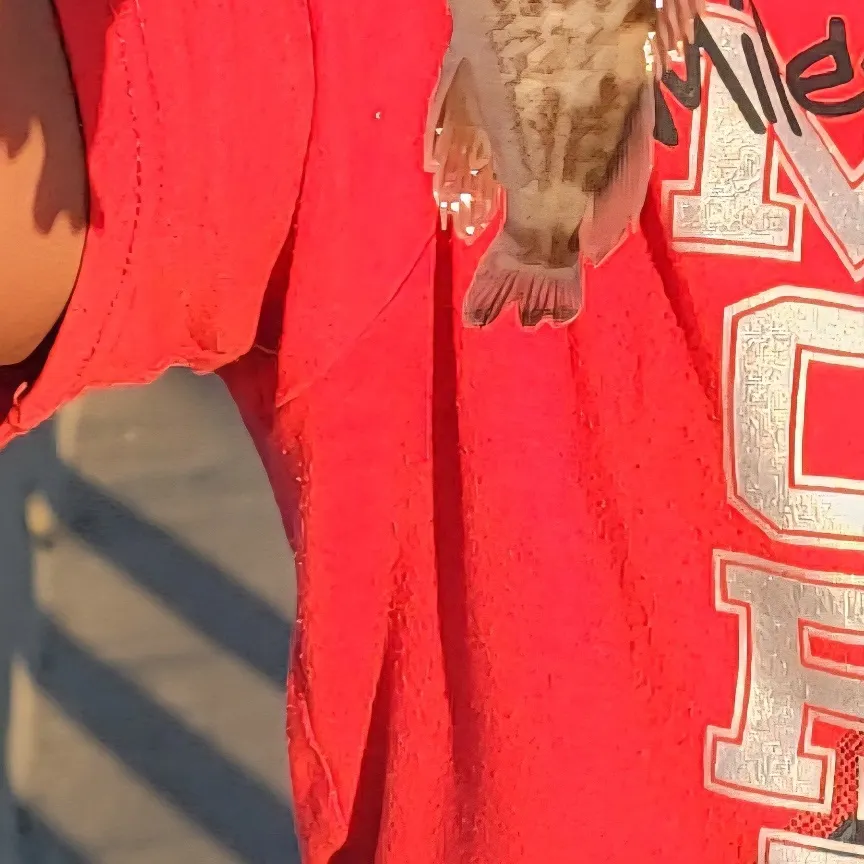 The most recent Brown rockfish catches on Fishbrain