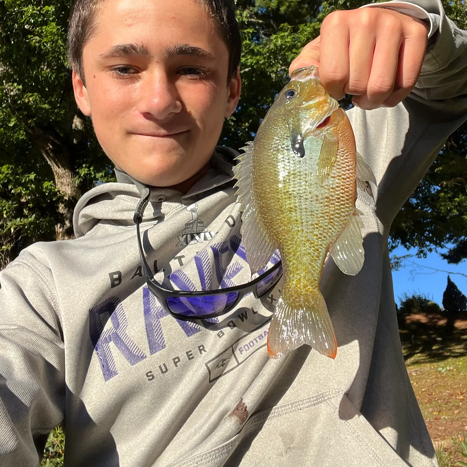 Redbreast sunfish caught on Fishbrain