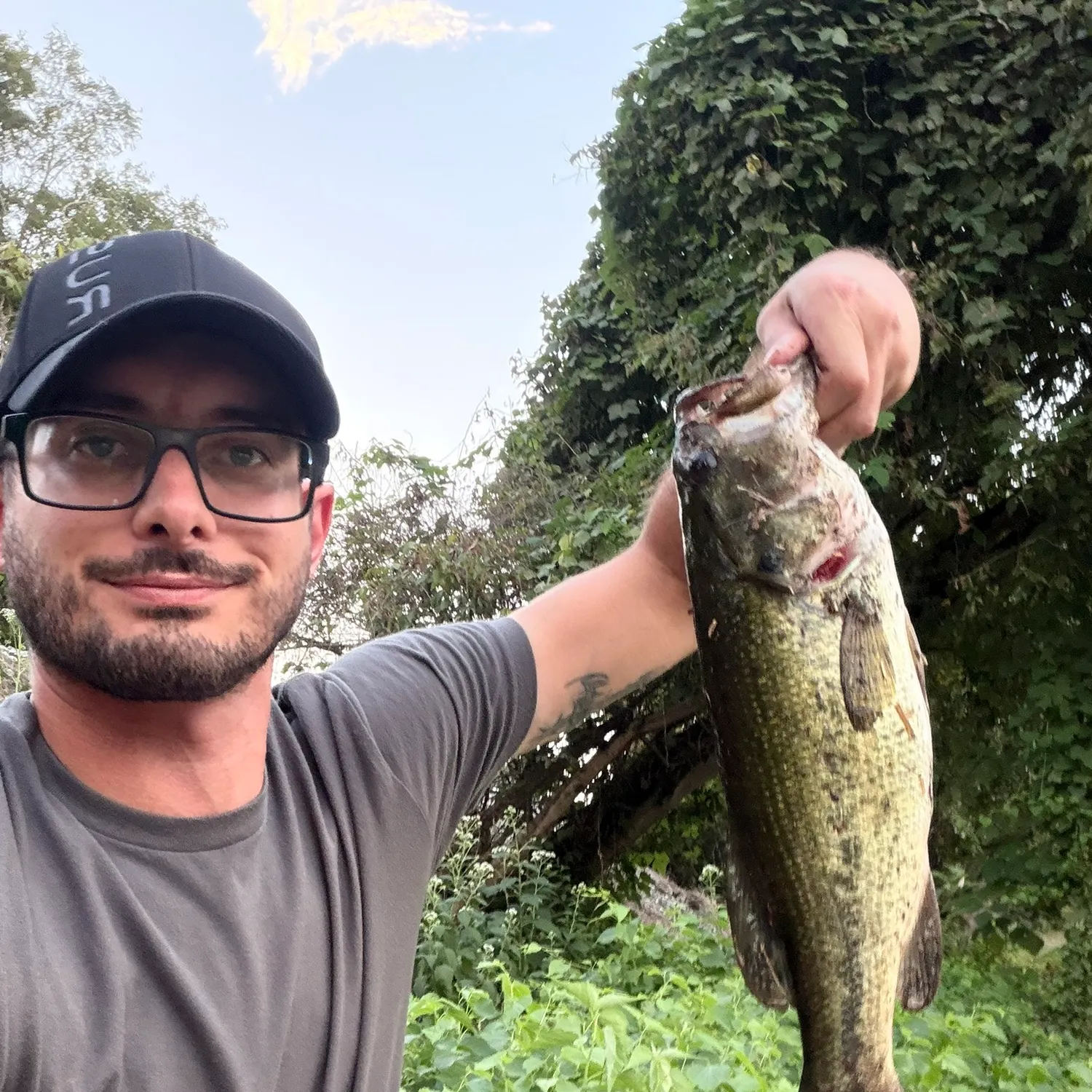 Largemouth bass caught on Fishbrain