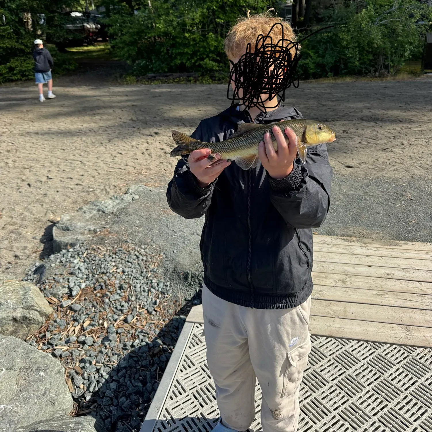 The most recent Largescale sucker catches on Fishbrain