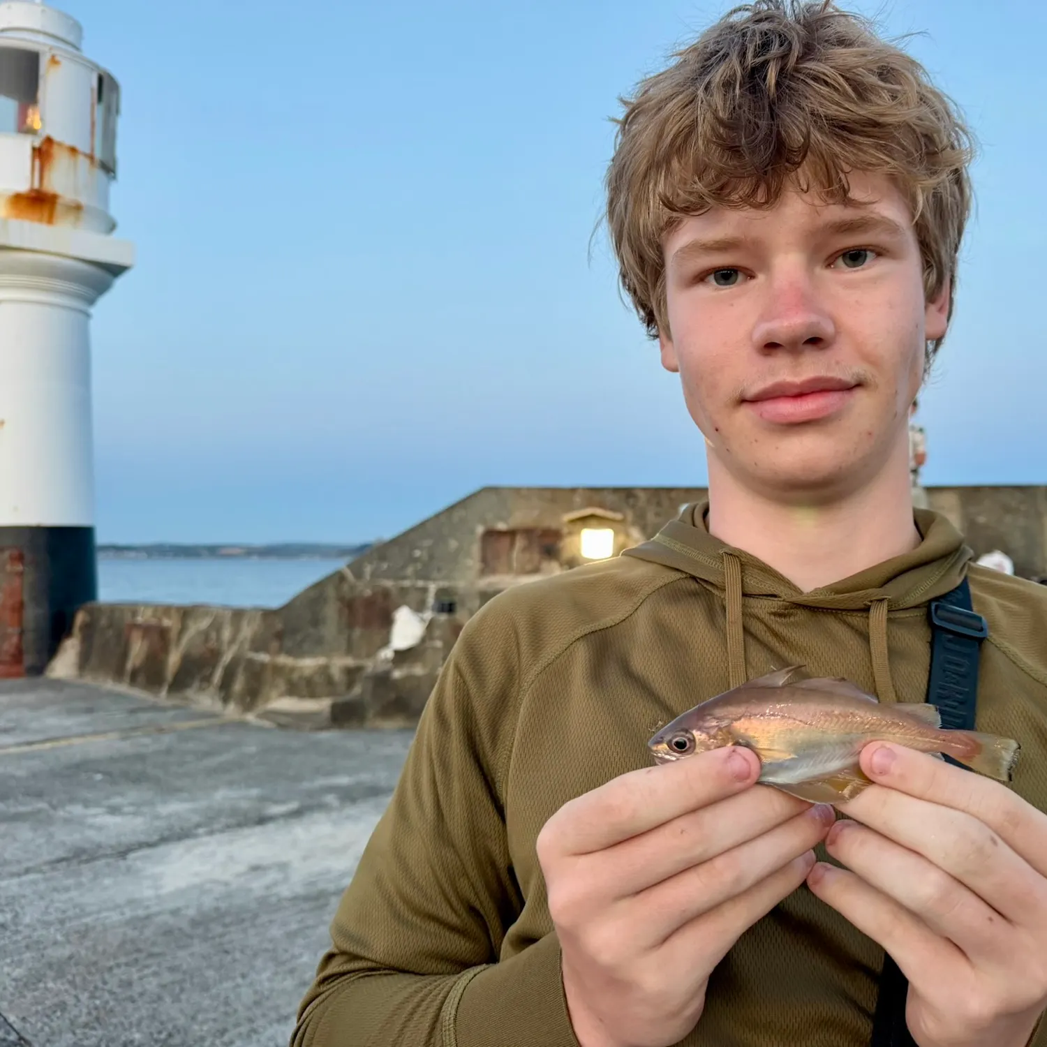 The most recent Pouting catches on Fishbrain