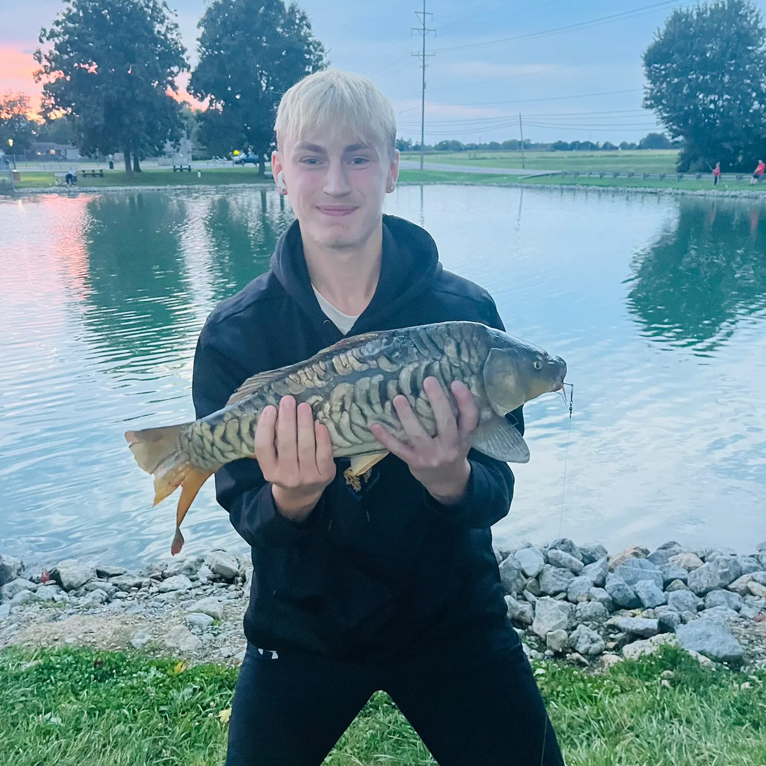 Mirror carp caught on Fishbrain