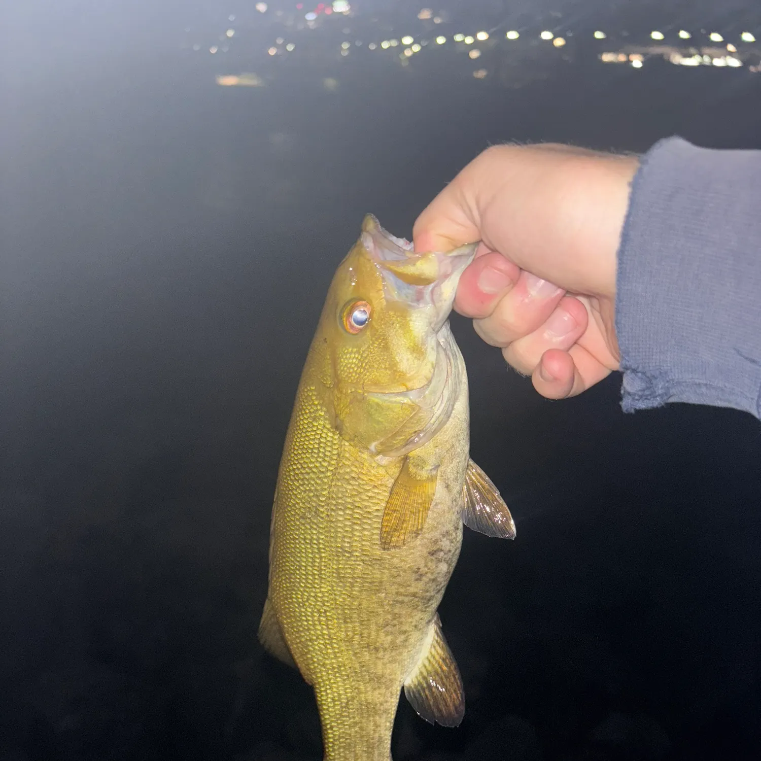 Smallmouth bass caught on Fishbrain