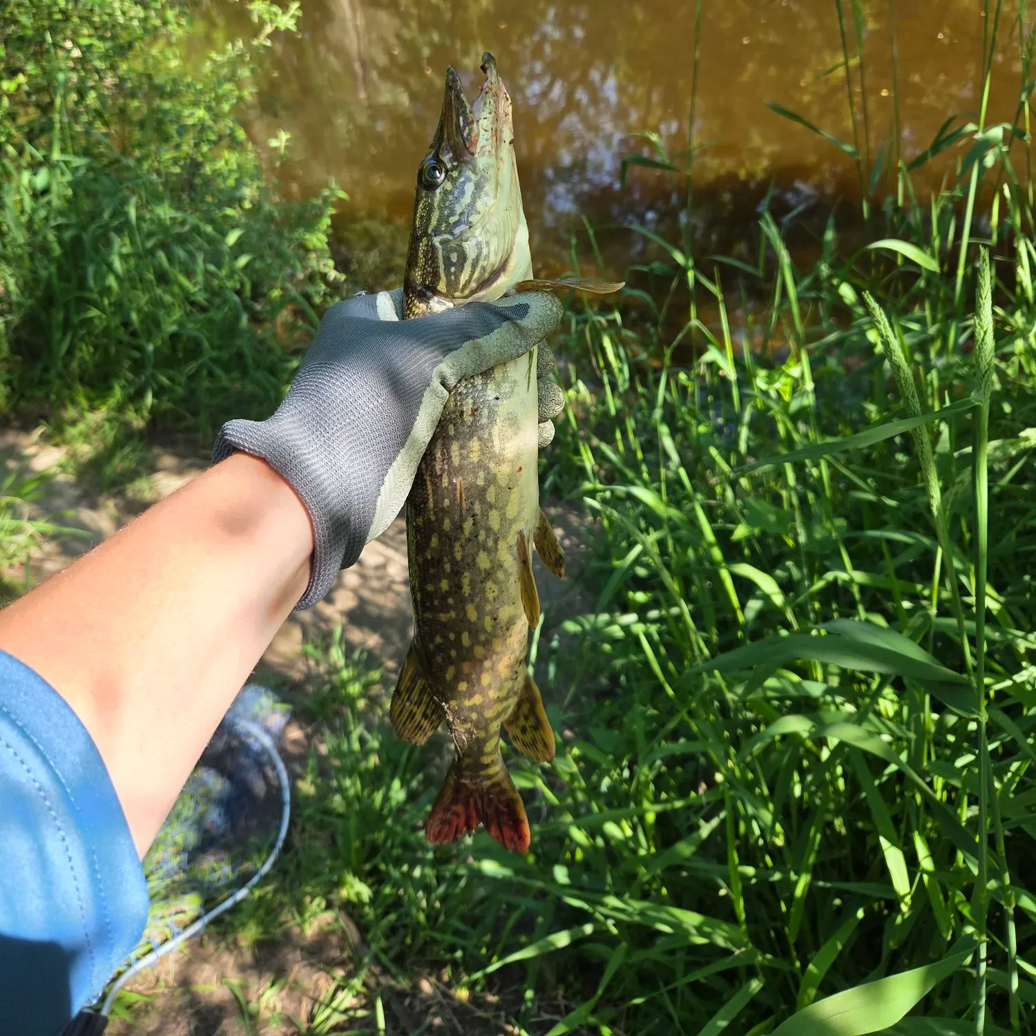catch