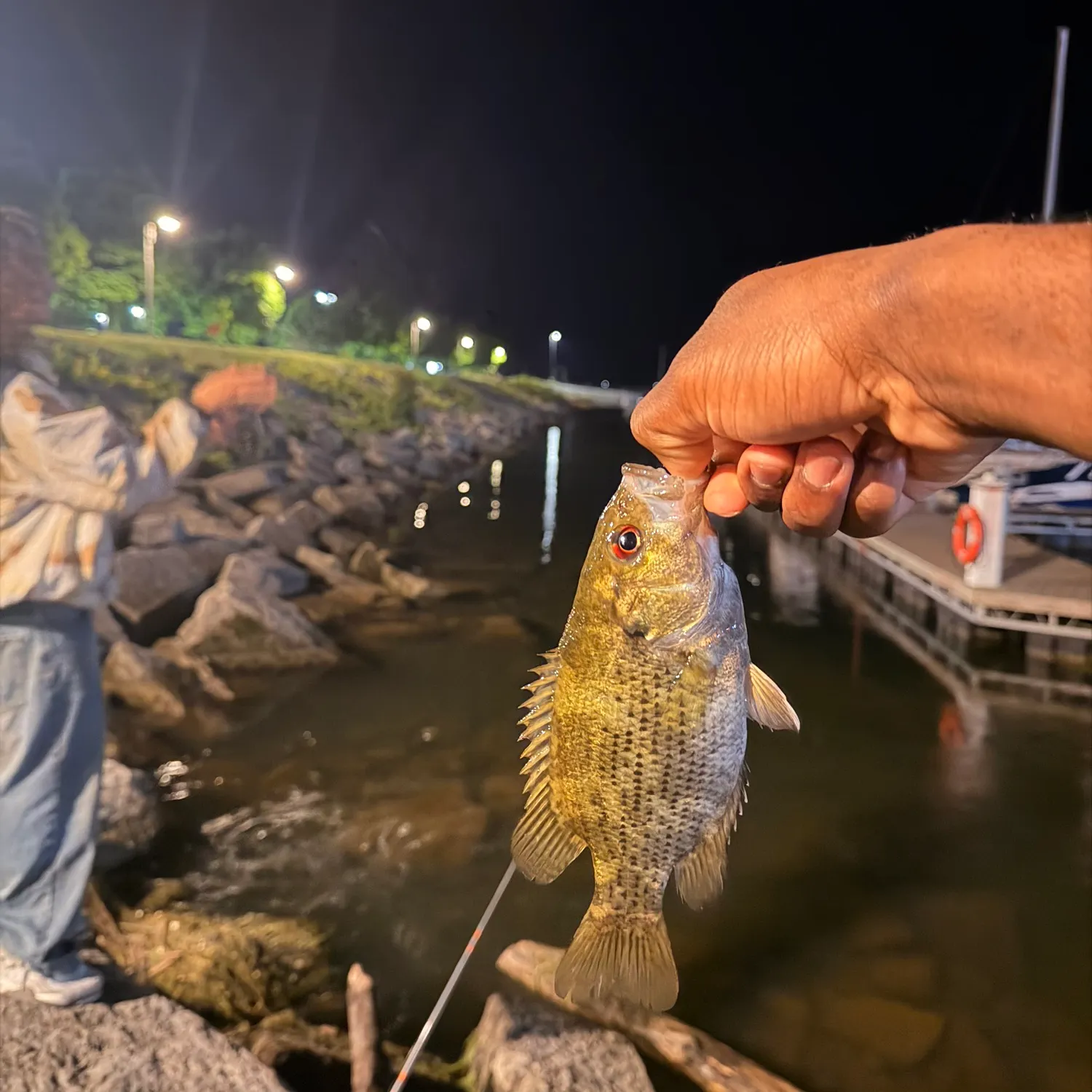 catch