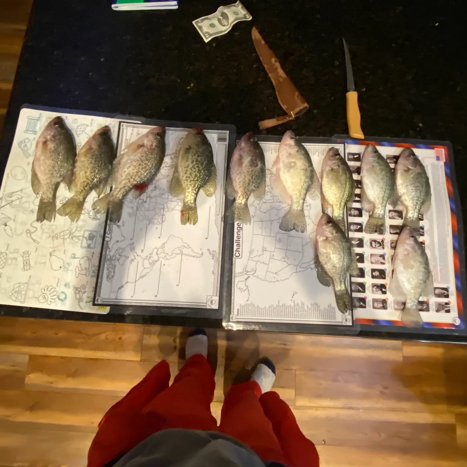 recently logged catches