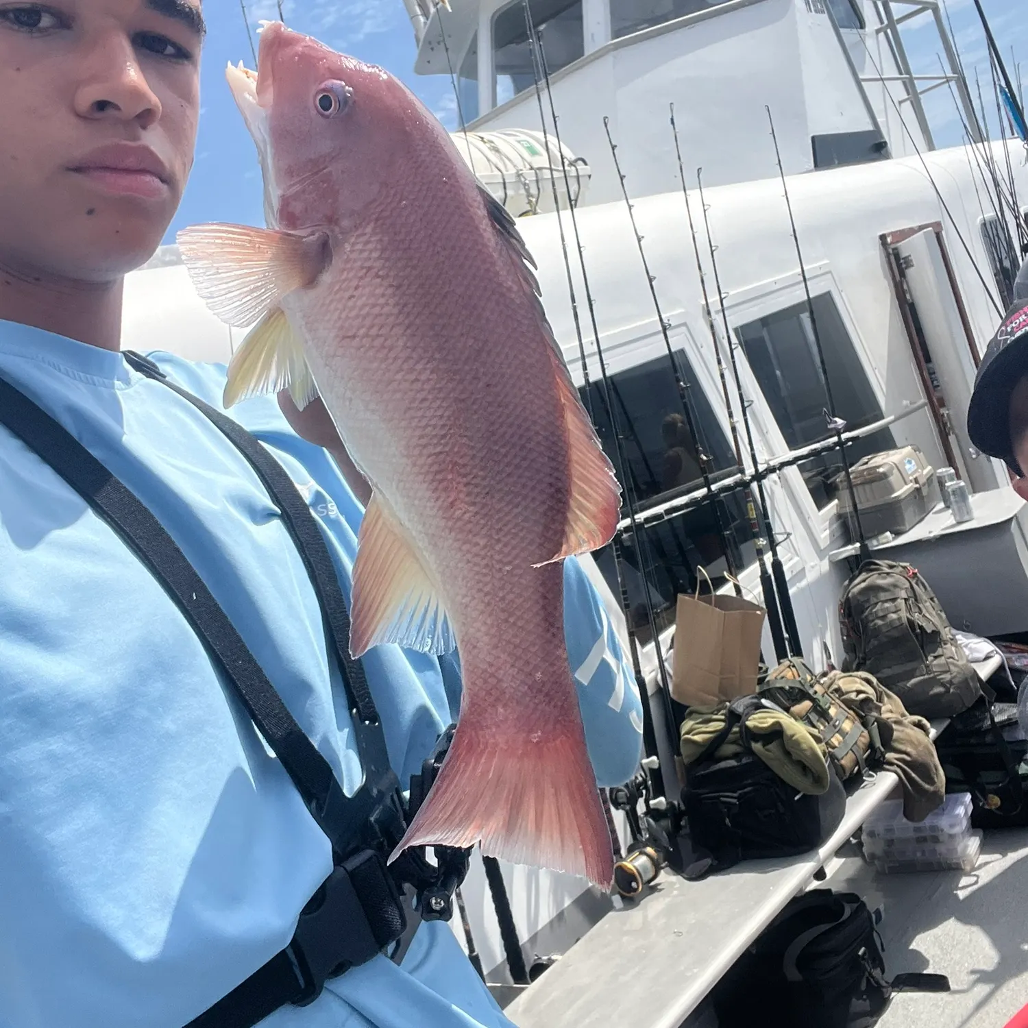 California sheephead caught on Fishbrain