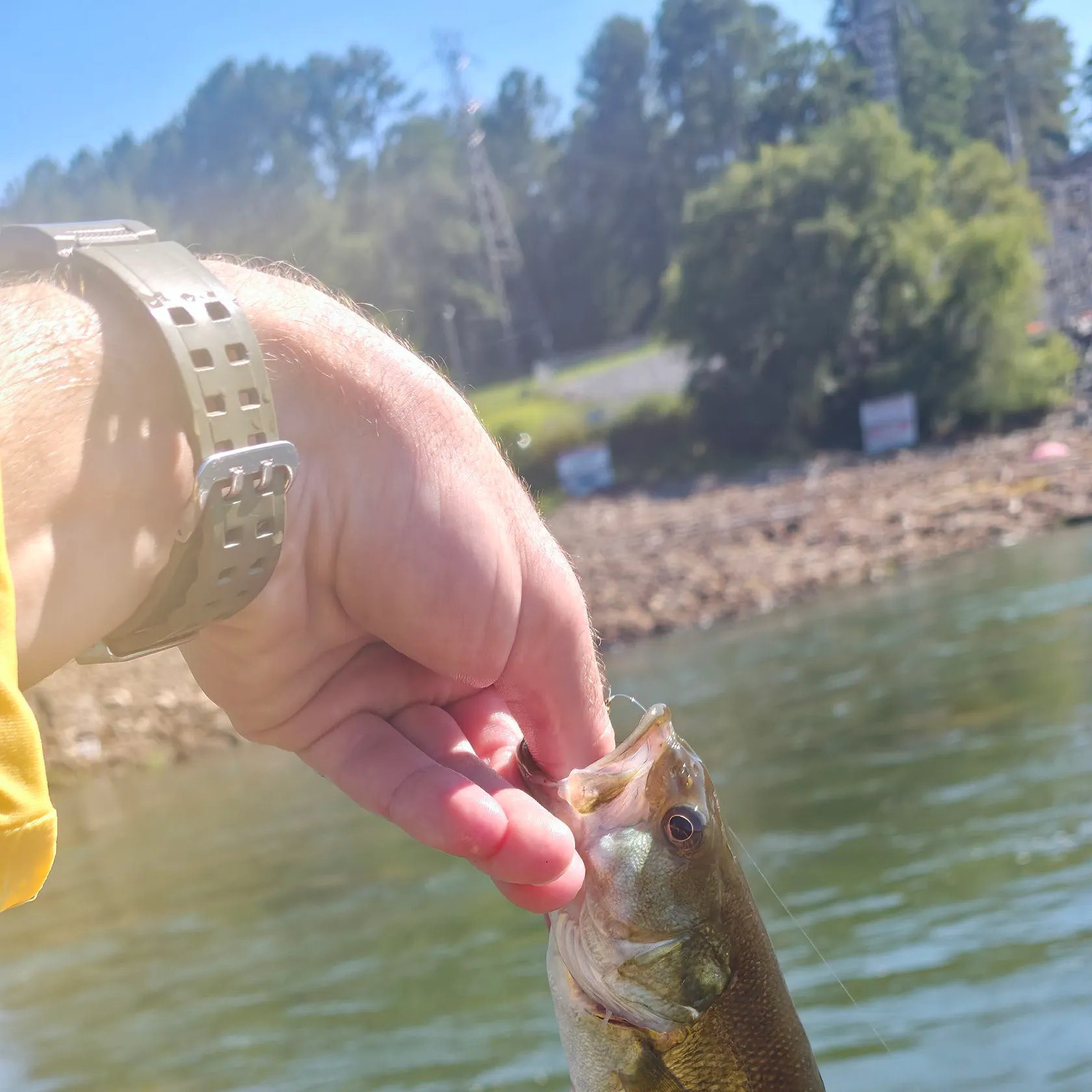 catch