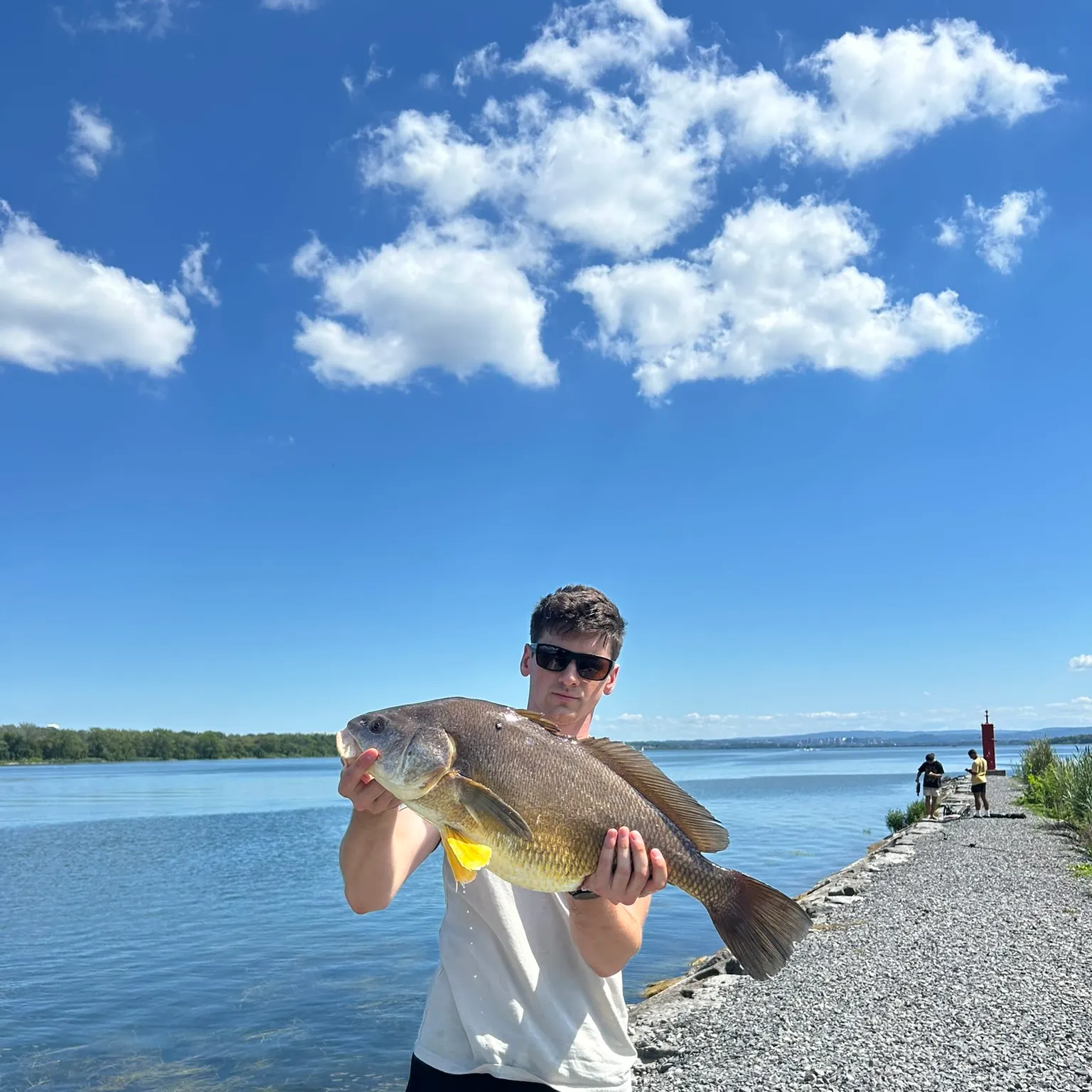 The most recent Freshwater drum catches on Fishbrain