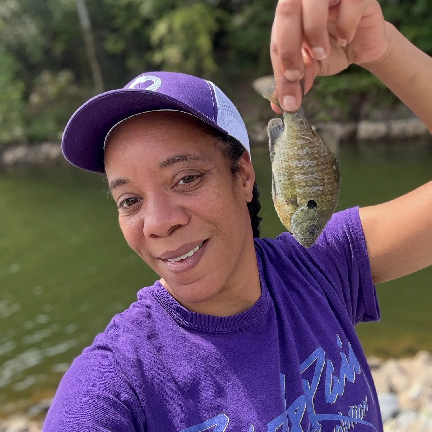 Bluegill caught on Fishbrain