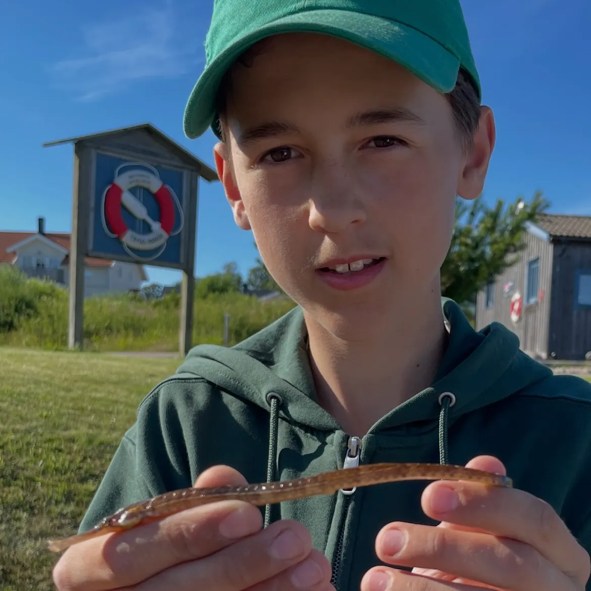 The most recent Northern pipefish catches on Fishbrain