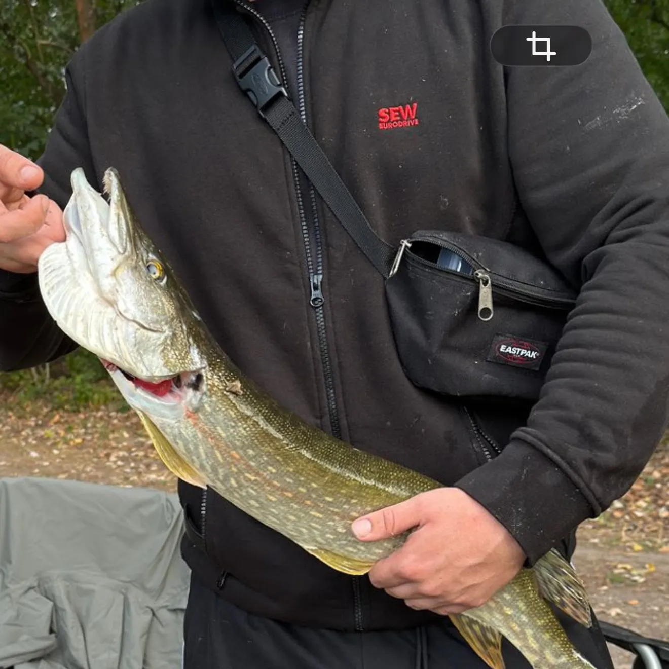 Northern pike caught on Fishbrain