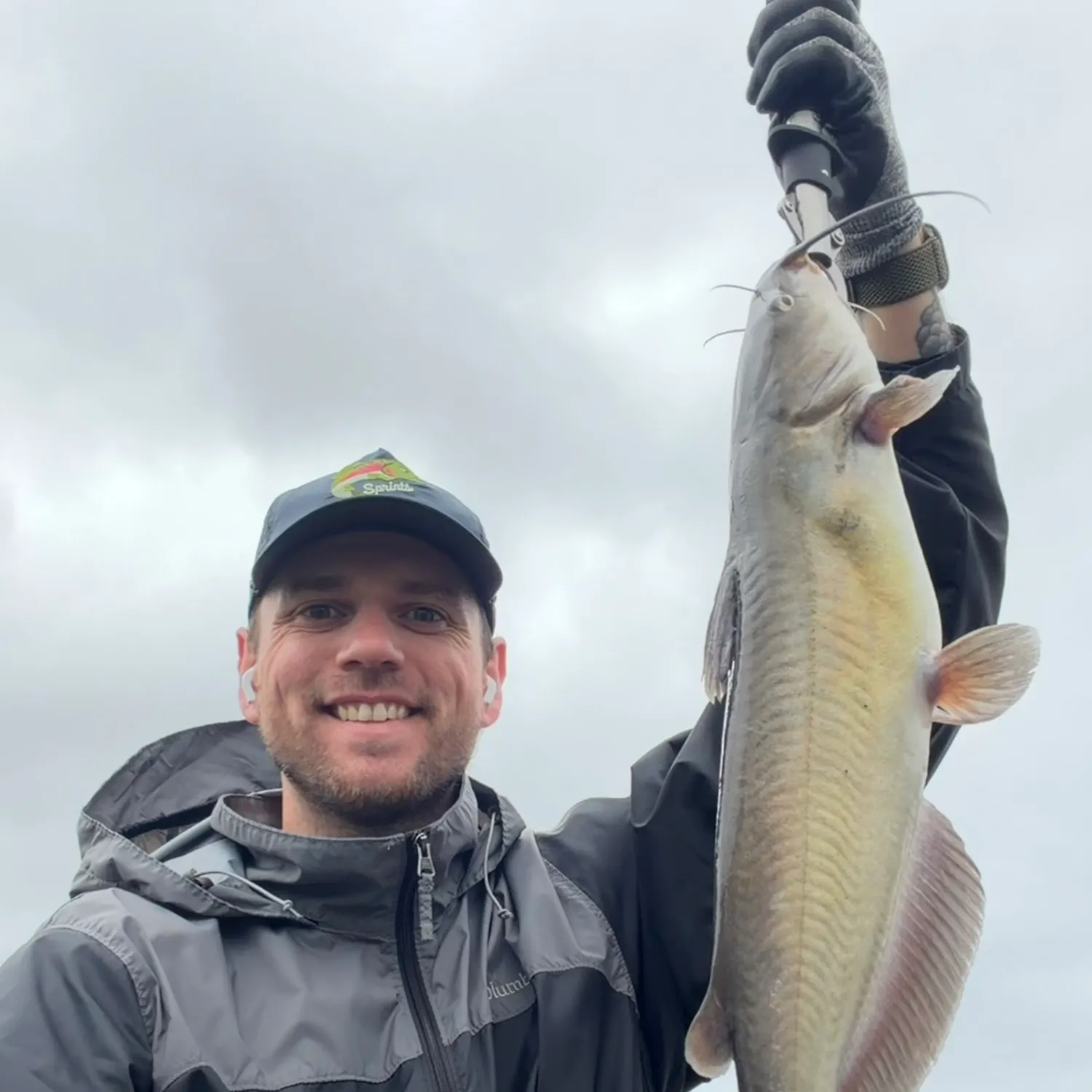 Channel catfish caught on Fishbrain