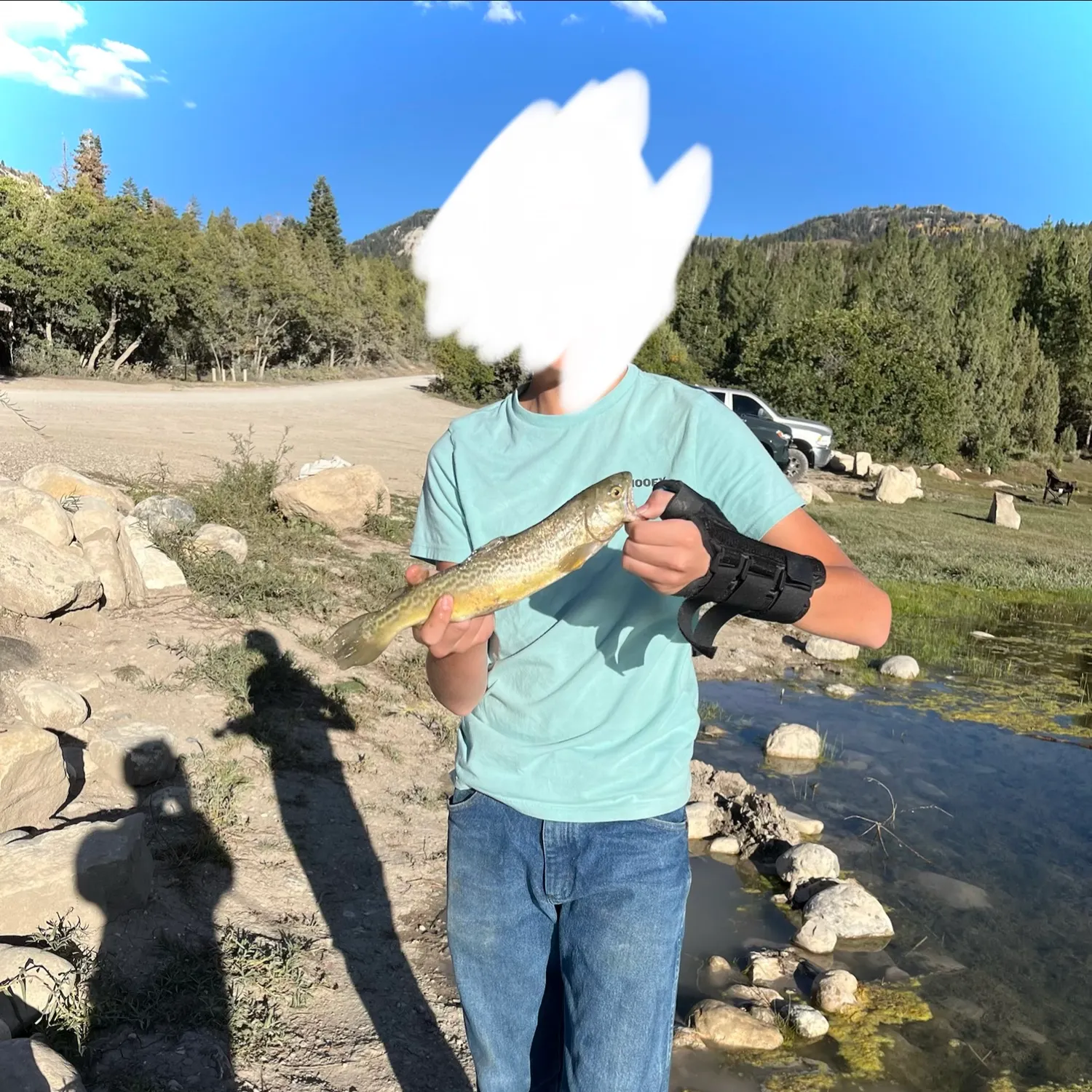 Rainbow trout caught on Fishbrain