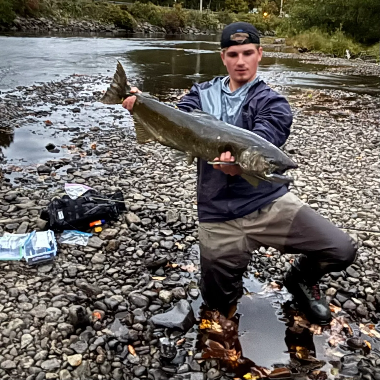 Chinook salmon caught on Fishbrain