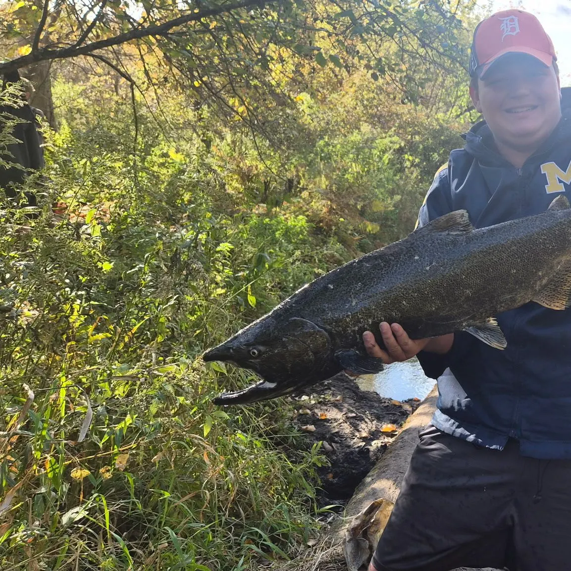 Chinook salmon caught on Fishbrain
