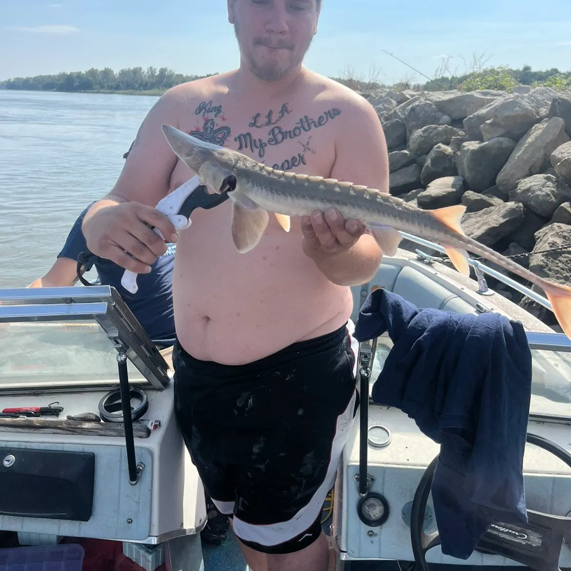 The most recent Shovelnose sturgeon catches on Fishbrain