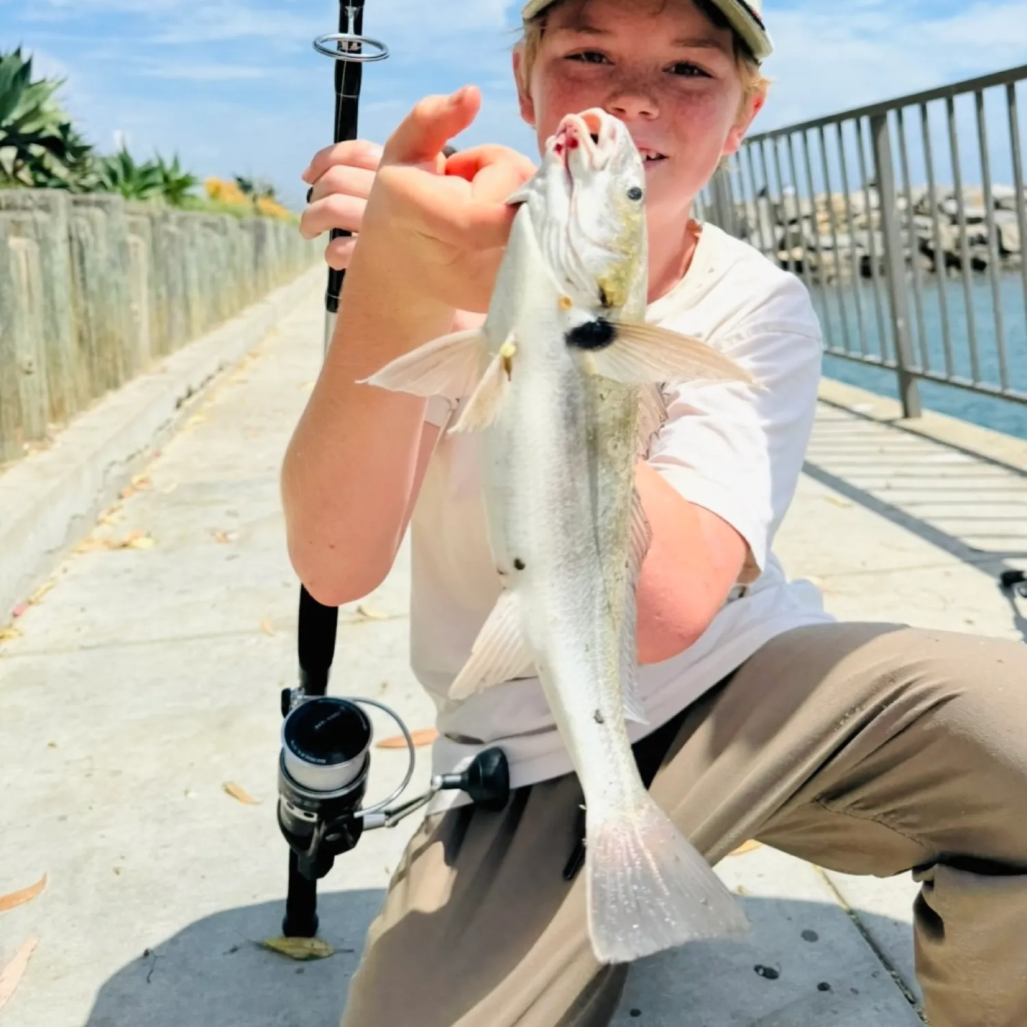 The most recent Blackspotted croaker catches on Fishbrain