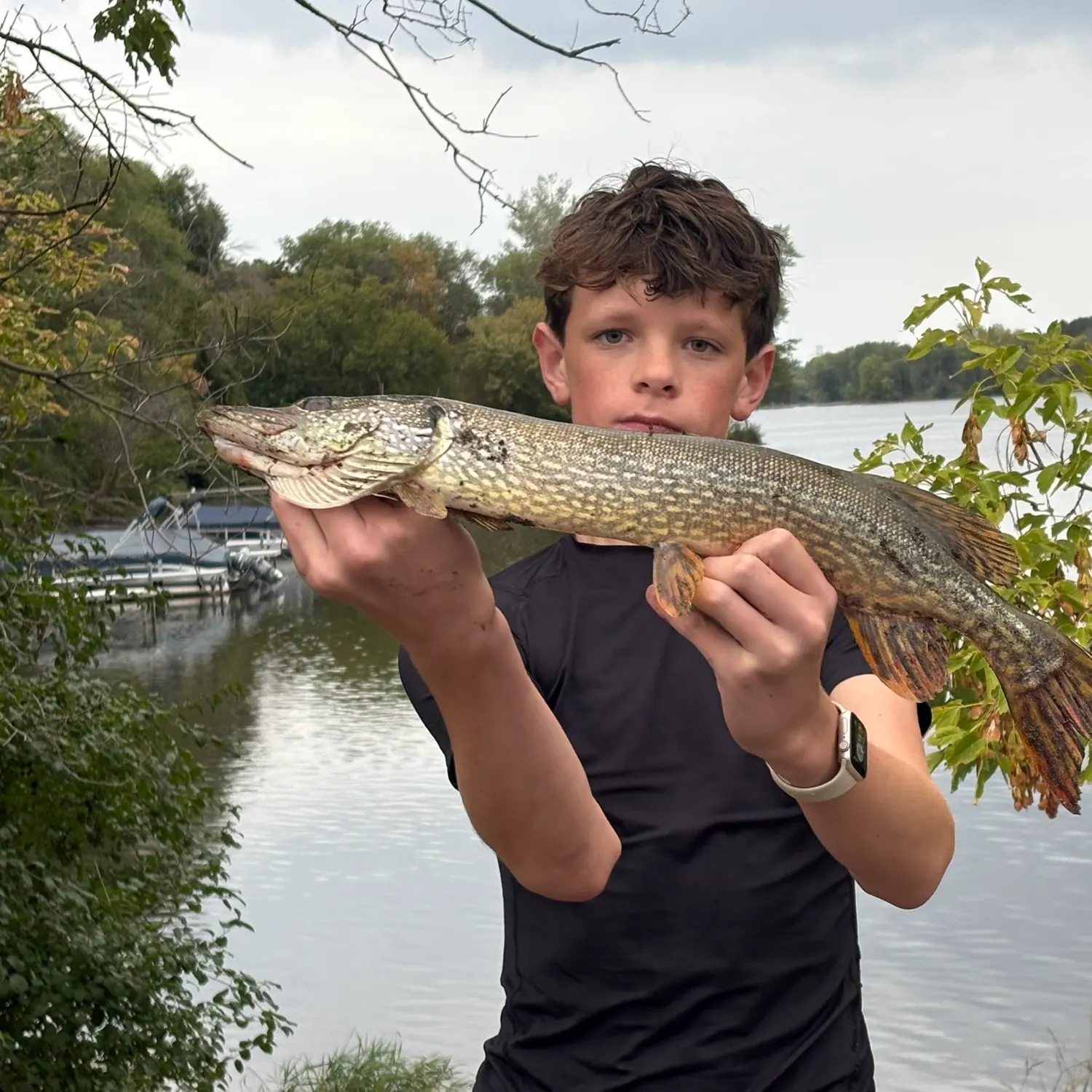 Northern pike caught on Fishbrain