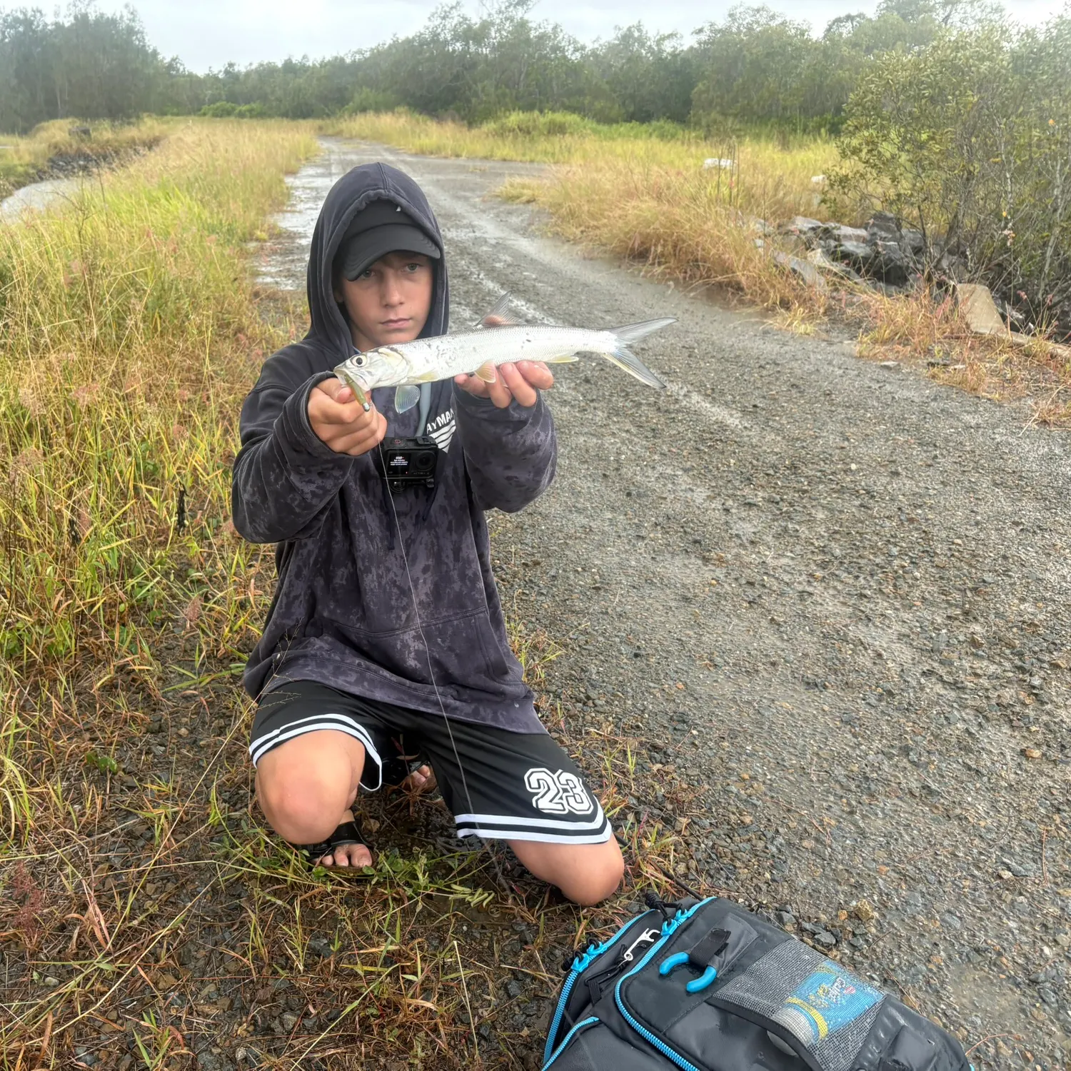 The most recent Hawaiian ladyfish catches on Fishbrain
