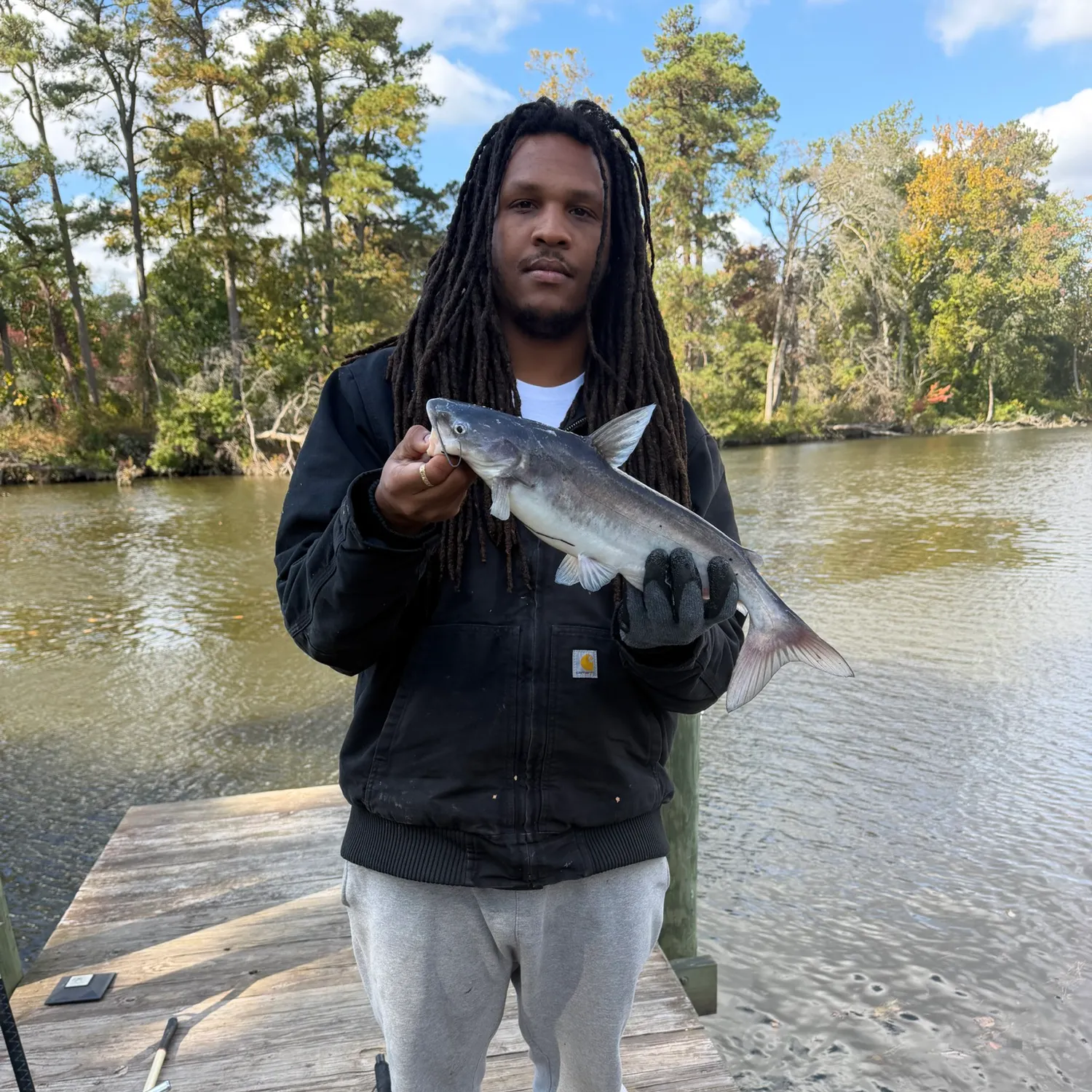 Blue catfish caught on Fishbrain