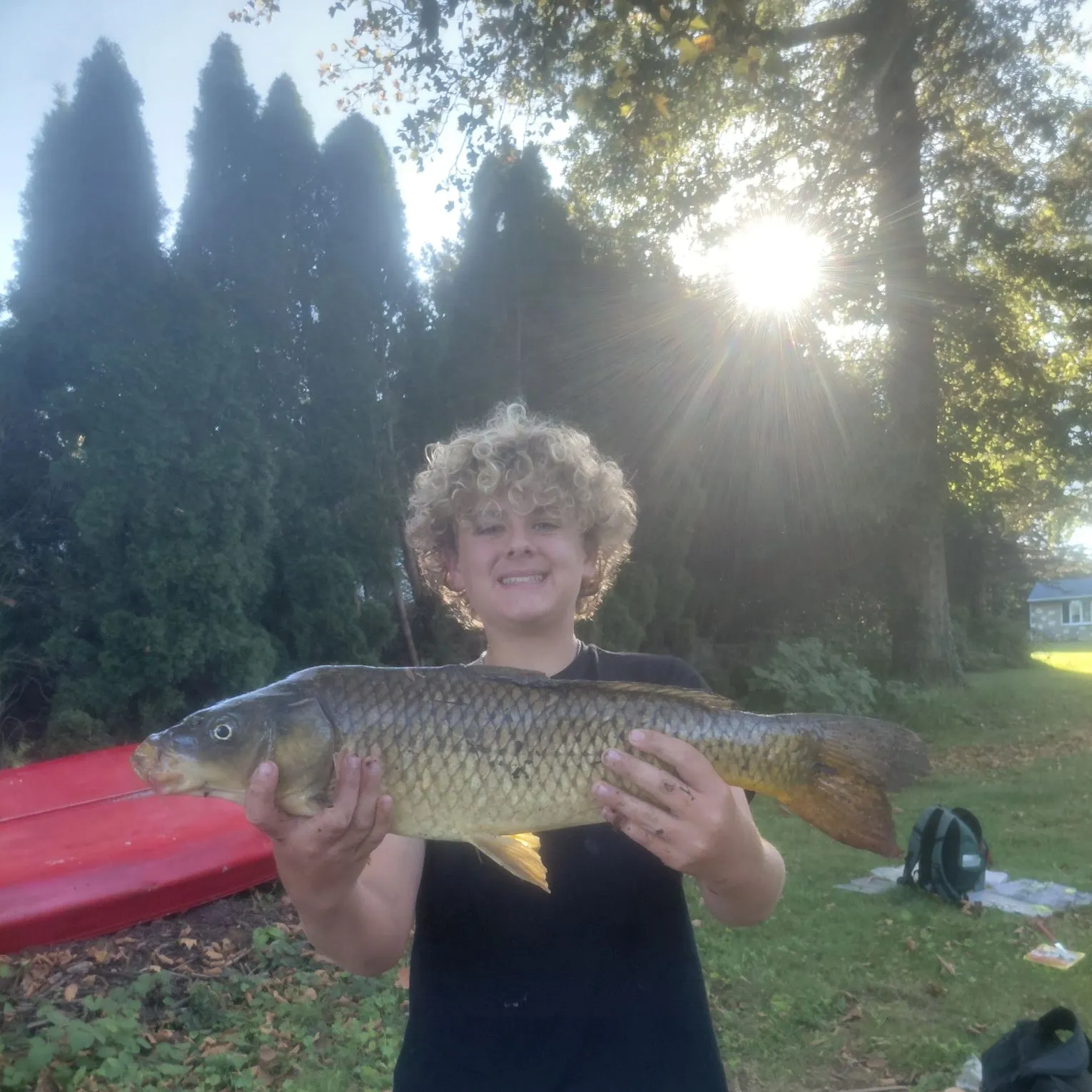 Common carp caught on Fishbrain