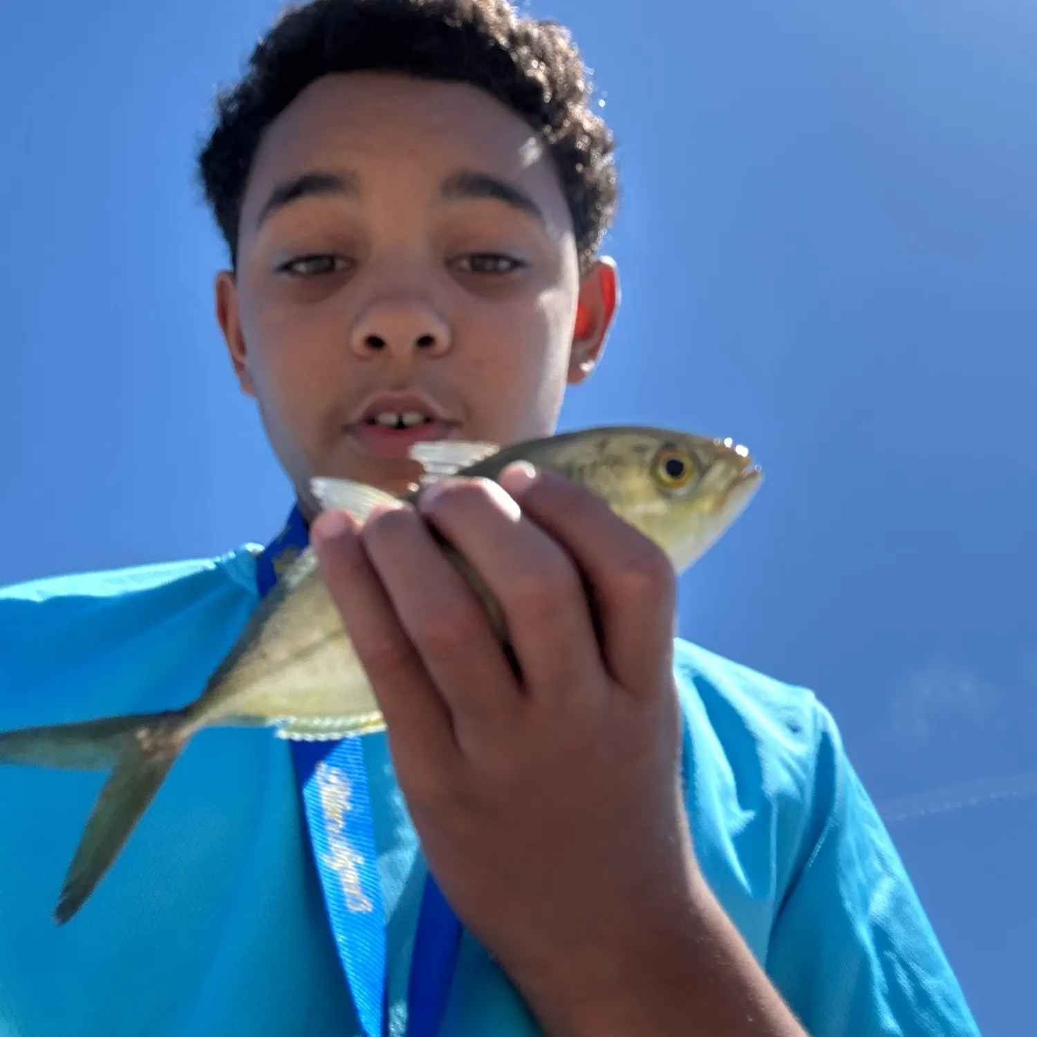 The most recent Blue runner catches on Fishbrain