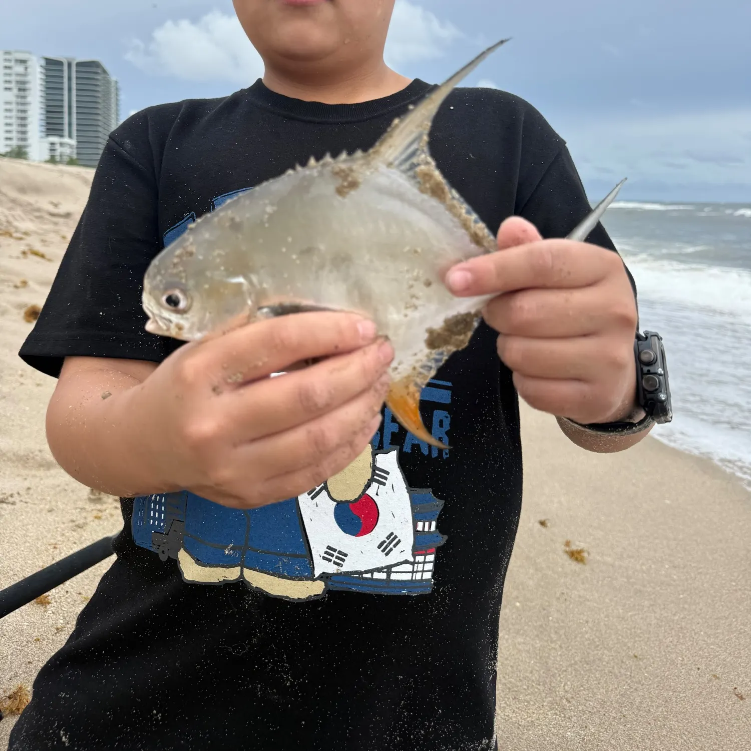 The most recent Permit catches on Fishbrain