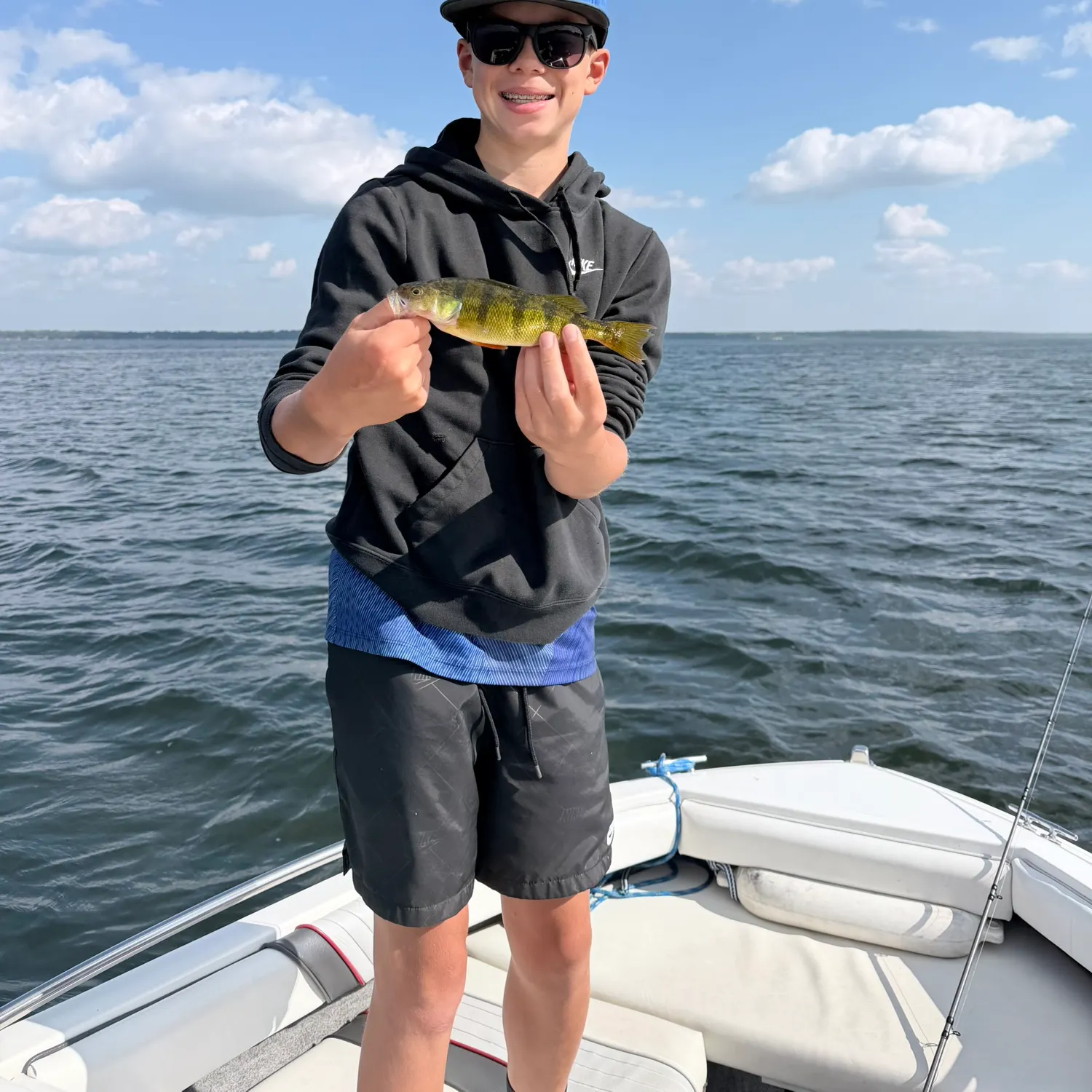 Yellow perch caught on Fishbrain