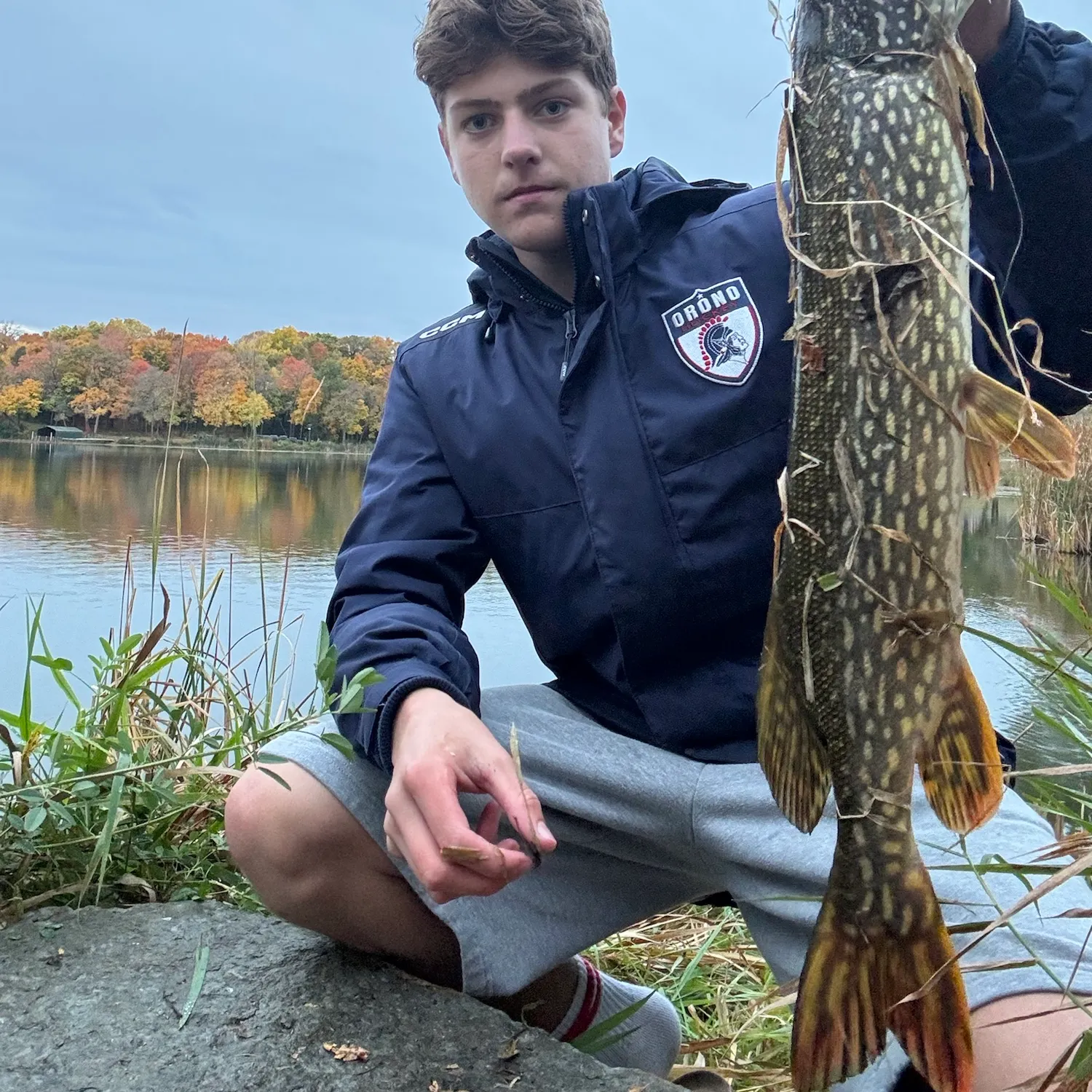 Northern pike caught on Fishbrain